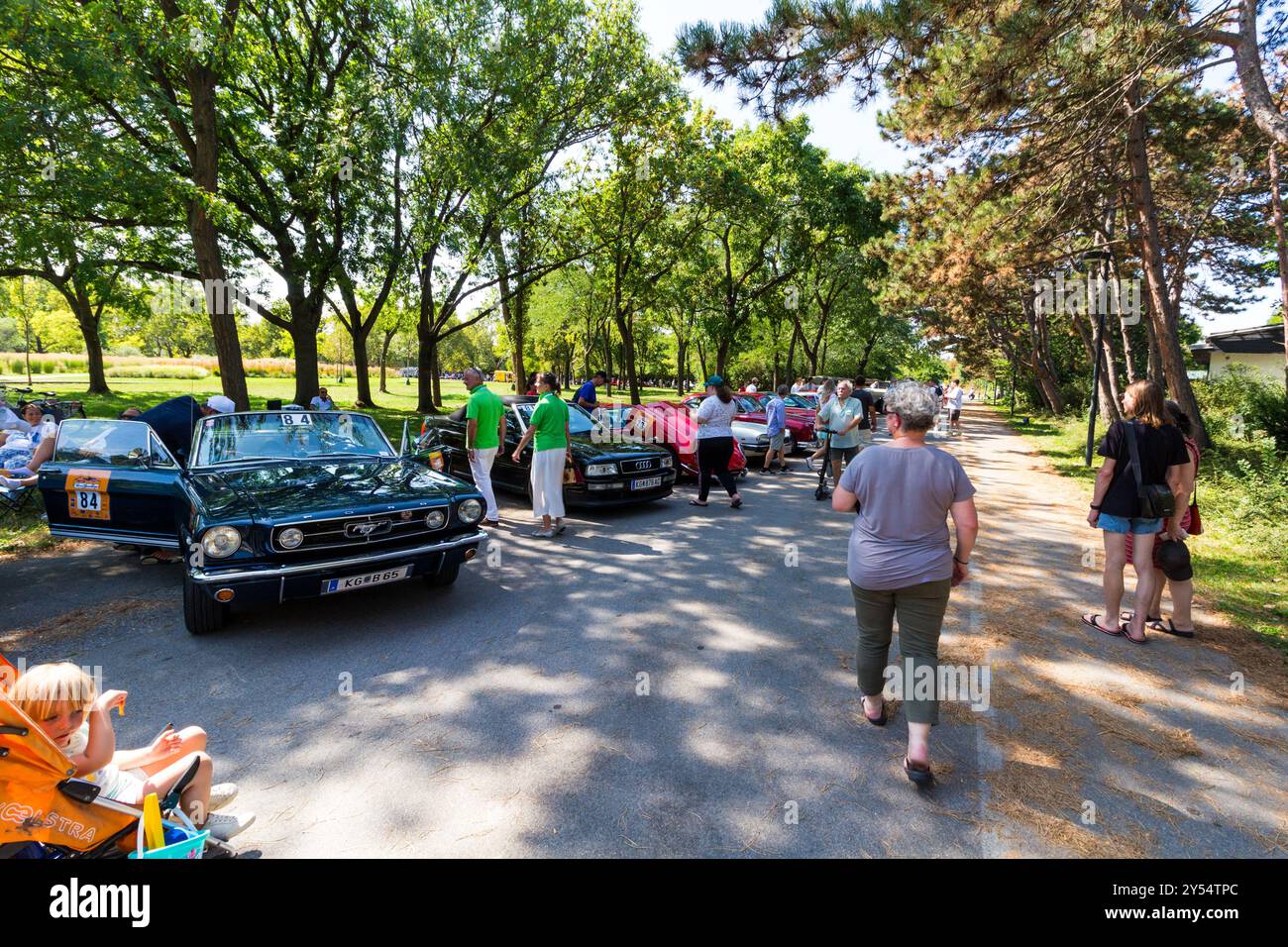 Vienna Classic Days 2024, sfilata di auto d'epoca, Donaupark, Vienna, Austria Foto Stock