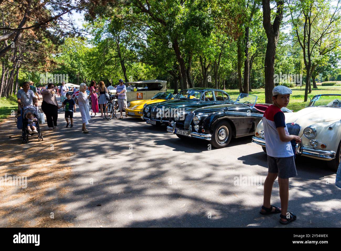Vienna Classic Days 2024, sfilata di auto d'epoca, Donaupark, Vienna, Austria Foto Stock