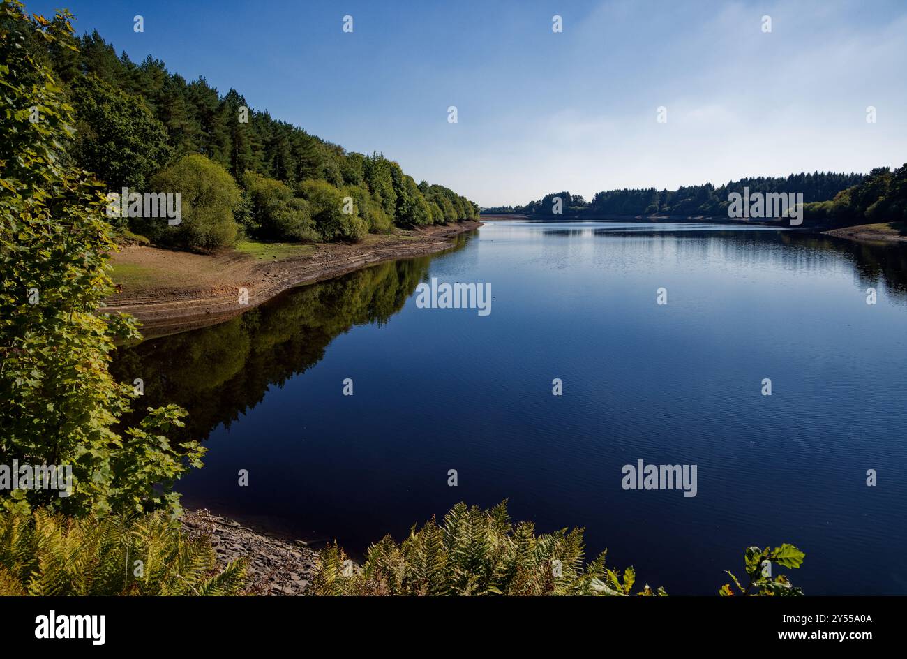 Le acque blu del Wayoh Reservoir. Foto Stock