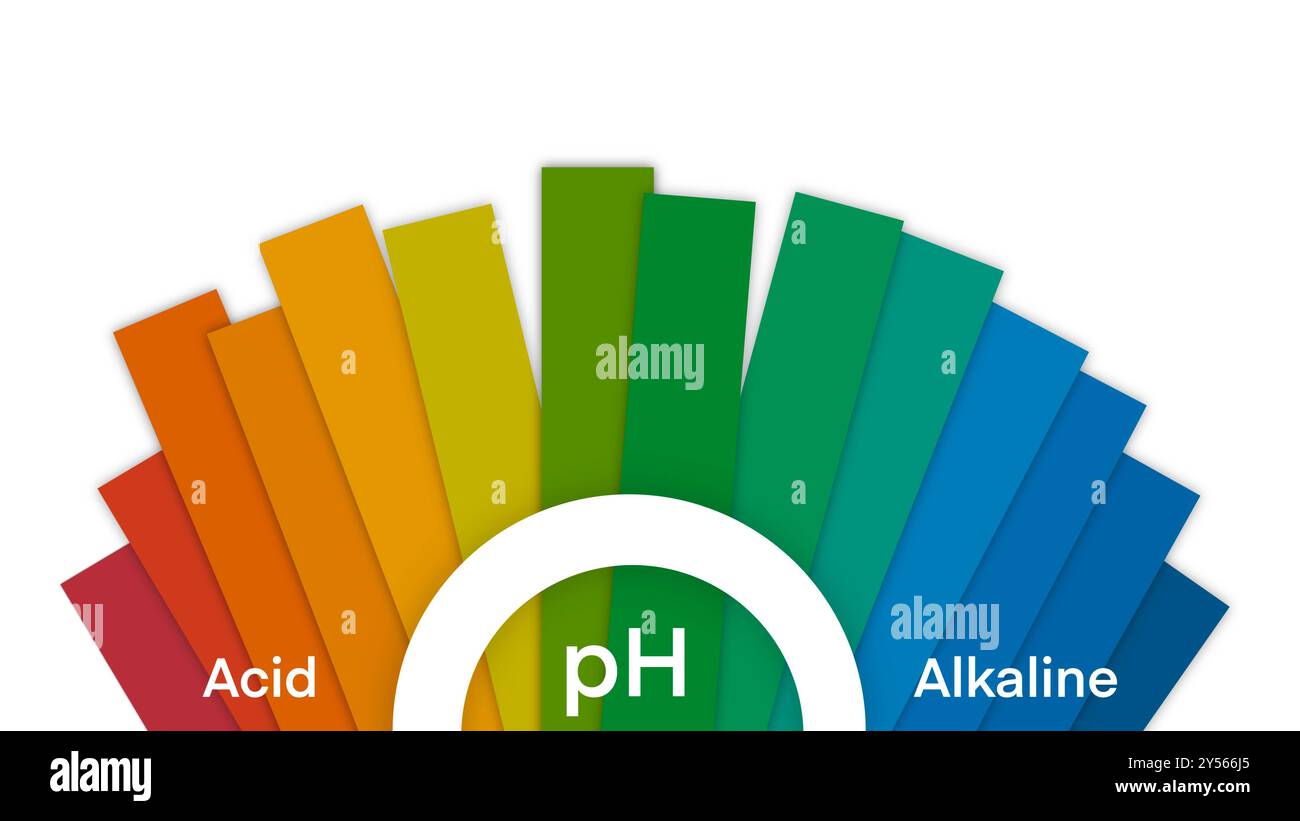 Diagramma scala pH, grafico vettoriale scala pH, da acido a base, bilancia Infografica acido-base, diagramma indicatore misura alcalina acida, valore pH Foto Stock