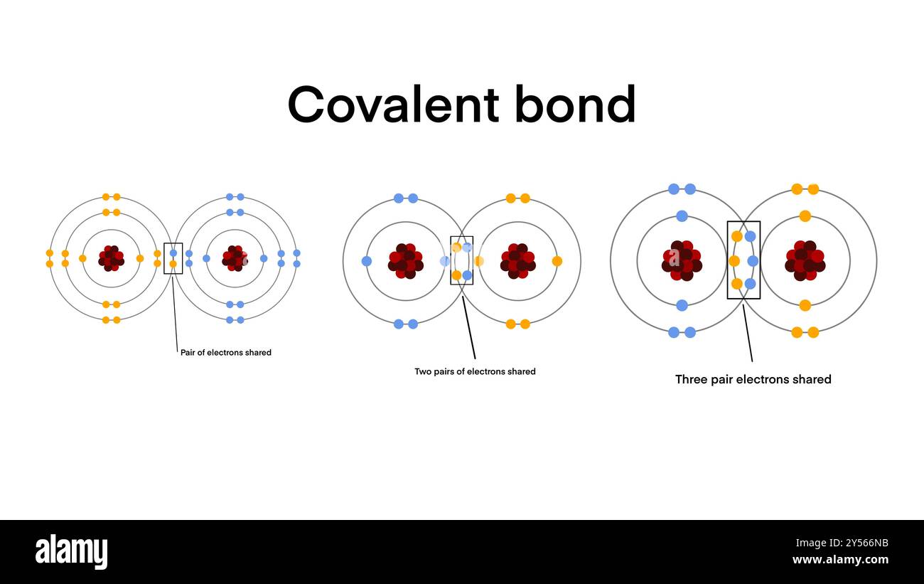 Il legame covalente è un legame chimico che comporta la condivisione di elettroni per formare coppie di elettroni tra atomi, Scientific Designing of Covalent Bond Foto Stock