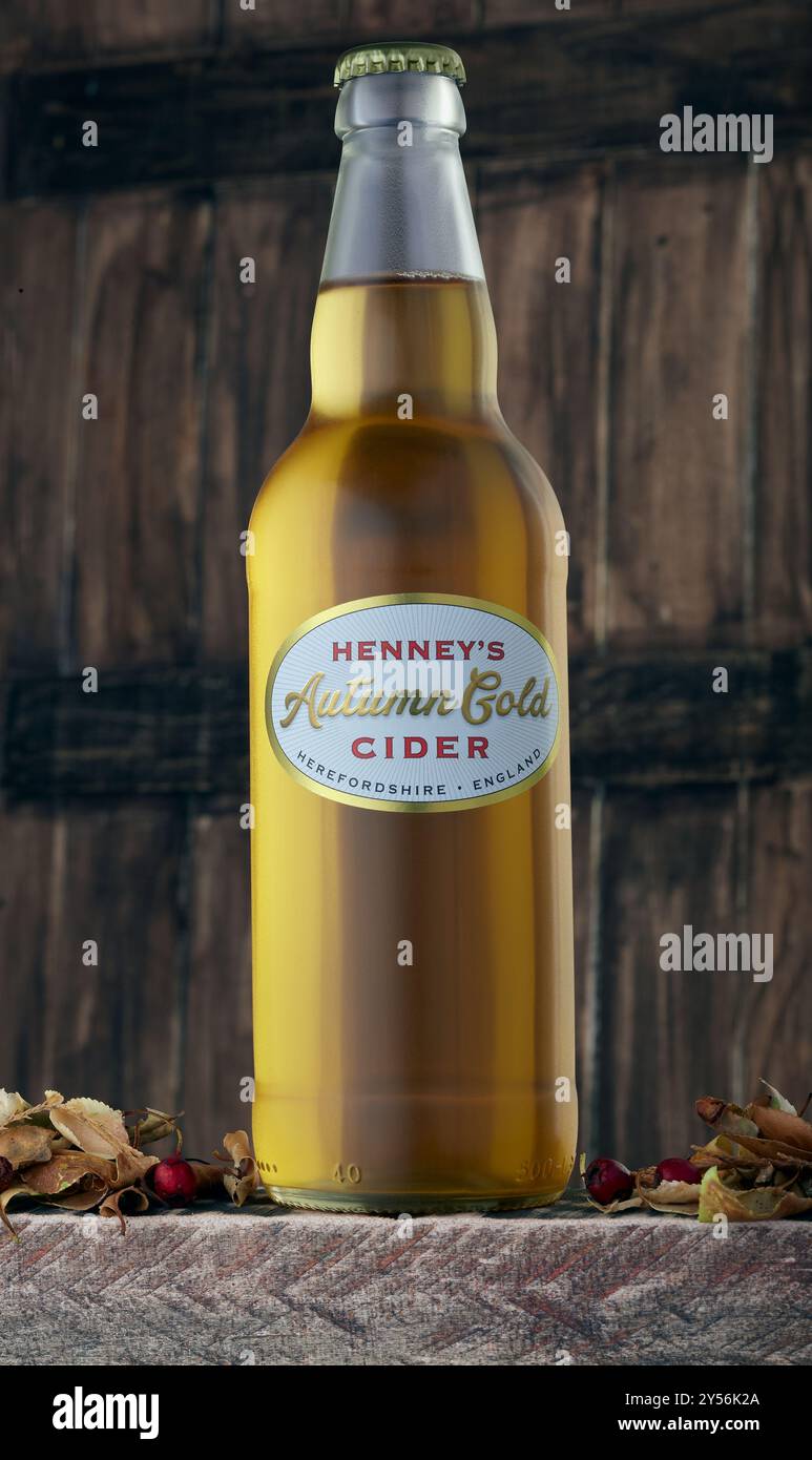 Mansfield,Nottingham,Regno Unito,20 settembre 2024:immagine studio del sidro d'oro autunnale di Henney. Foto Stock