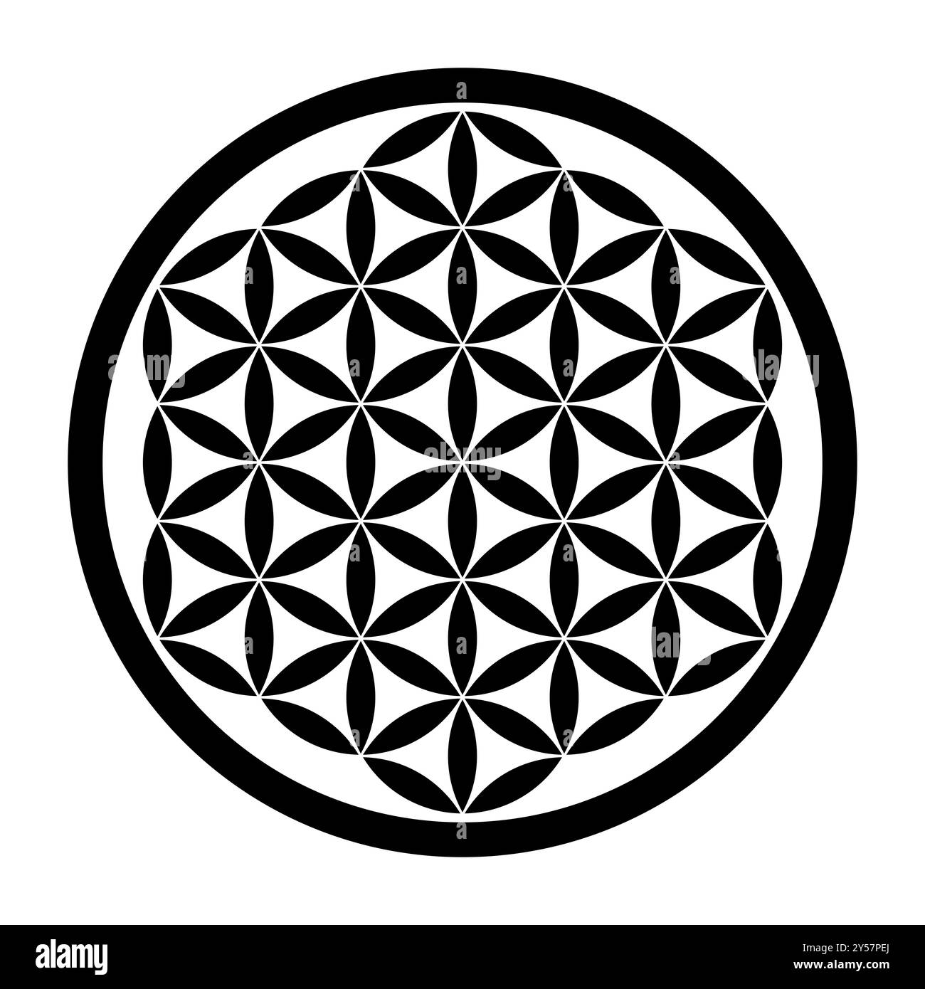 Fiore della vita. Figura geometrica e antico simbolo usato per ornamenti, decorazioni e meditazione spirituale nelle culture di tutto il mondo. Foto Stock