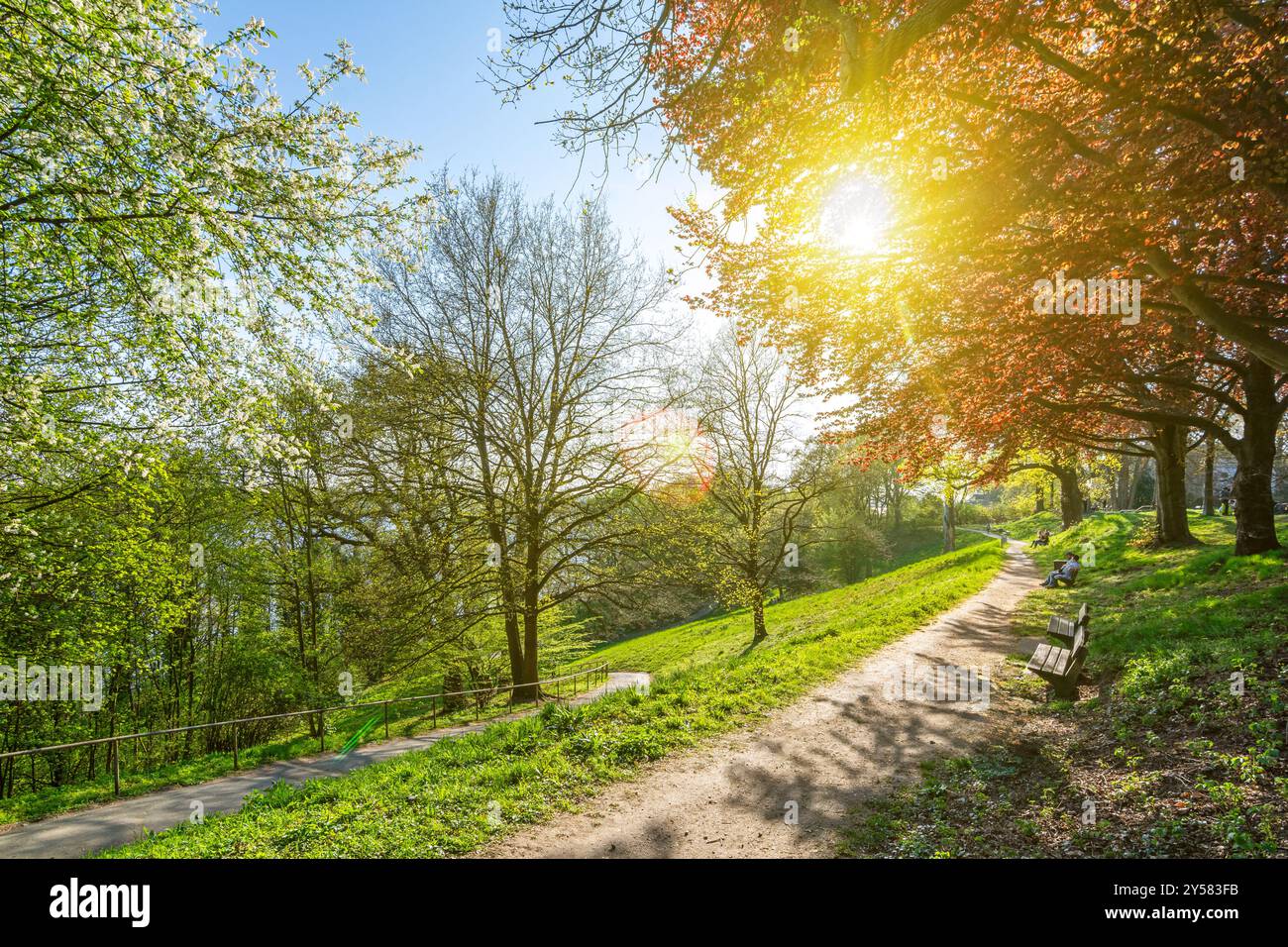 Splendida giornata primaverile in un parco (Schröders Elbpark) vicino al fiume Elba ad Amburgo, Germania Foto Stock