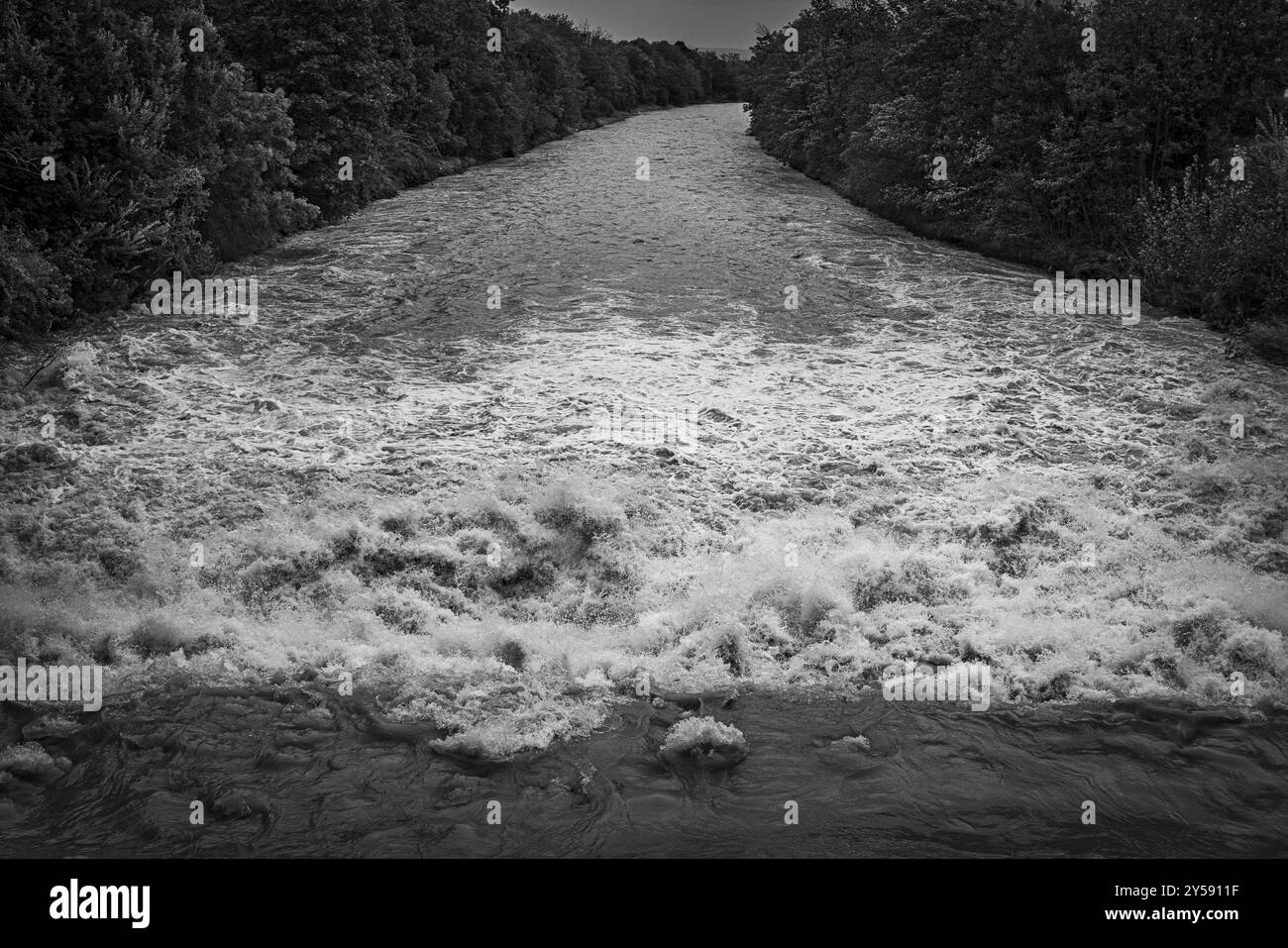 Un fiume potente con una forte corrente sotto un cielo nuvoloso, circondato da alberi verdi, Schwarza, Neunkirchen, bassa Austria, Austria, bianco e nero, Foto Stock