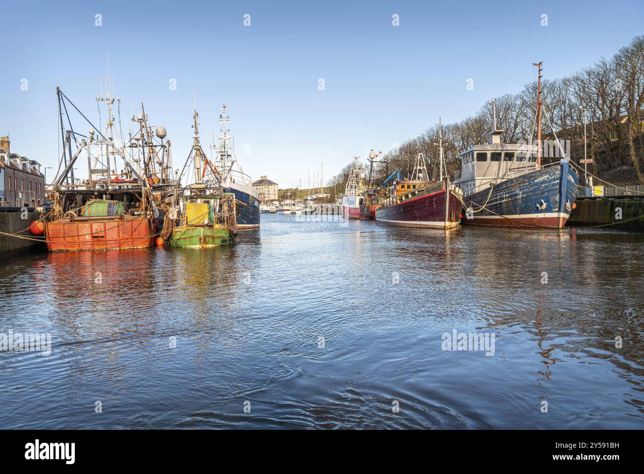 Pescherecci e pescherecci da traino attraccati a Eyemouth Harbour, Eyemouth, Scozia, Regno Unito, Europa Foto Stock