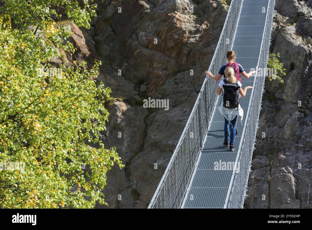 Ponte sospeso Belalp-Riederalp sul ghiacciaio Aletsch, paura delle altezze, vertigini, escursioni, escursioni, Vallese, Svizzera, Europa Foto Stock