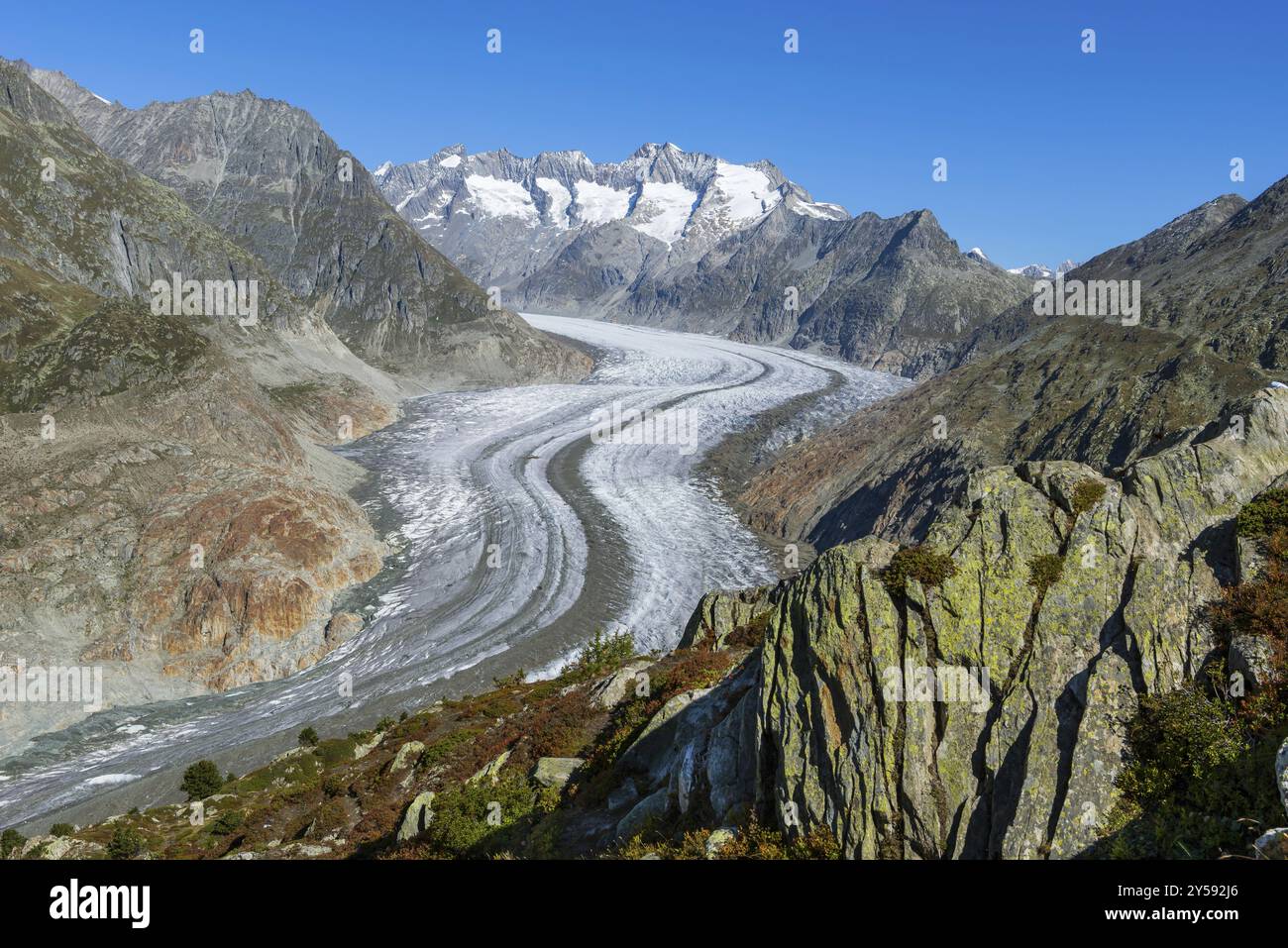 Ghiacciaio dell'Aletsch, lingua del ghiacciaio, panorama, cambiamento climatico, declino, riscaldamento globale, ghiaccio, clima globale, turismo, Aletsch Arena, Vallese, Svizzera, Foto Stock
