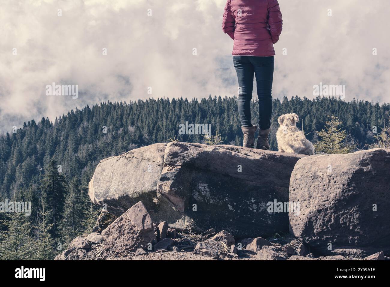 Ragazza in jeans e camicia rosa con il suo cane dal suo lato su una roccia nella foresta nera Parco Nazionale, godendo la vista sulle montagne boscose Foto Stock