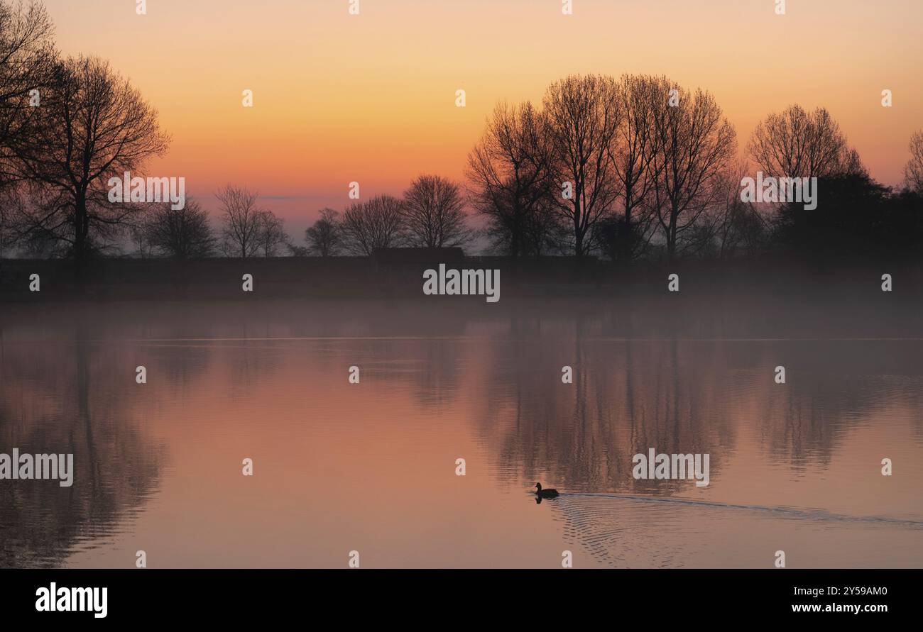 Sunrise over Ellerton Park, Yorkshire Foto Stock