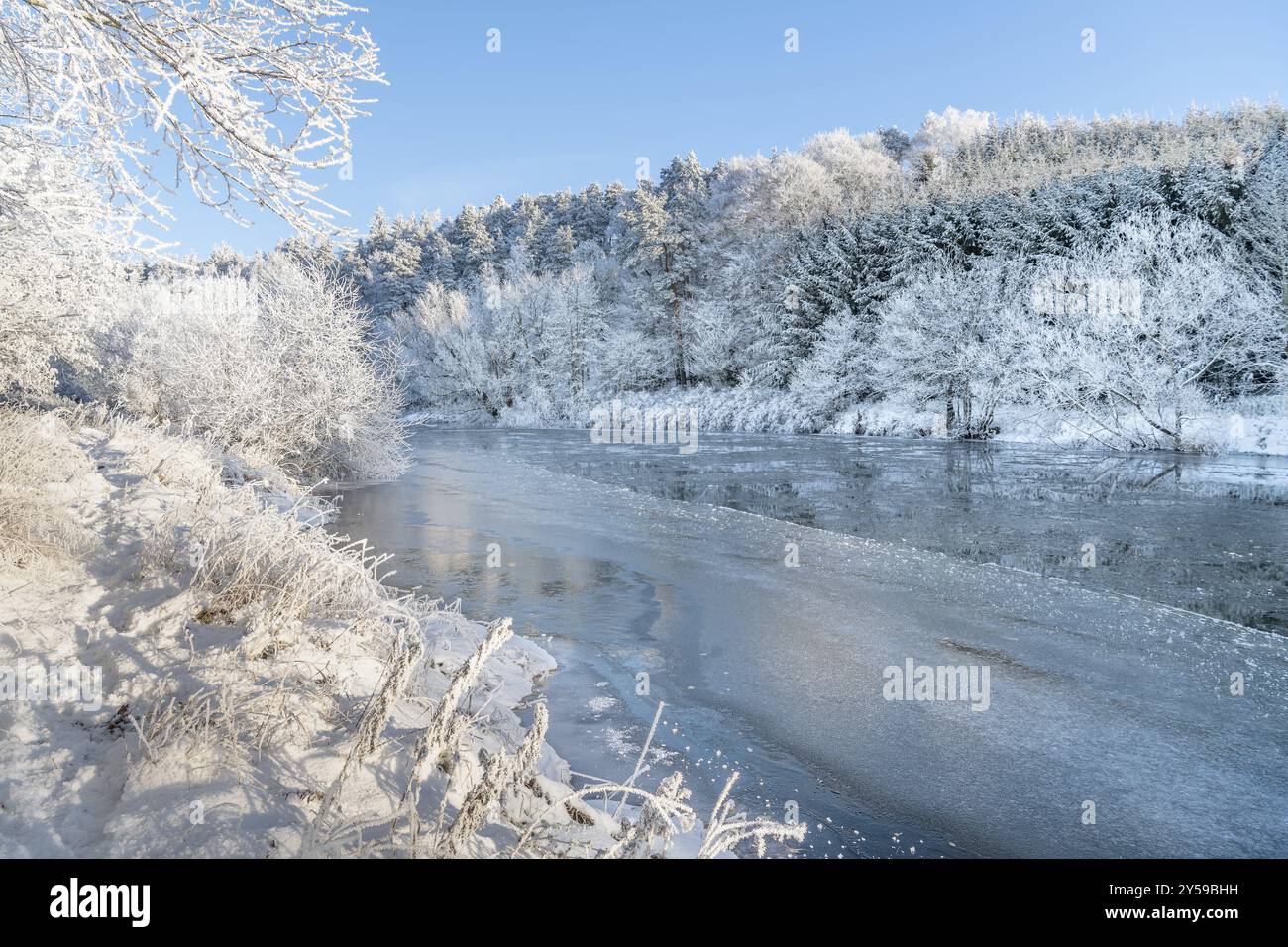 Riflessi di alberi innevati nel fiume Teviot, Scottish Borders, Regno Unito, Europa Foto Stock