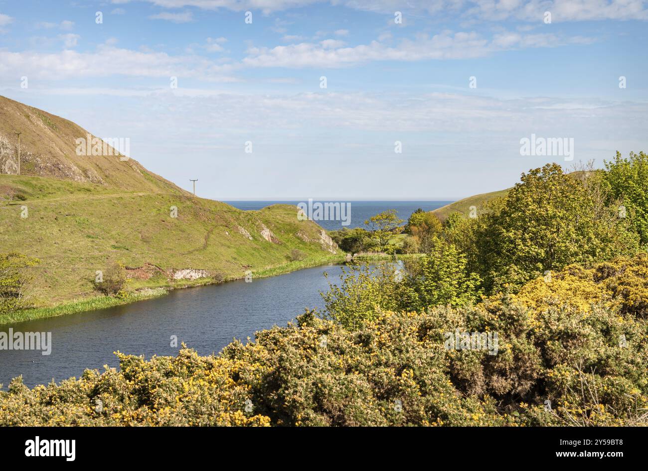 Mire Loch, St Abbs Head, Scozia, Regno Unito, Europa Foto Stock