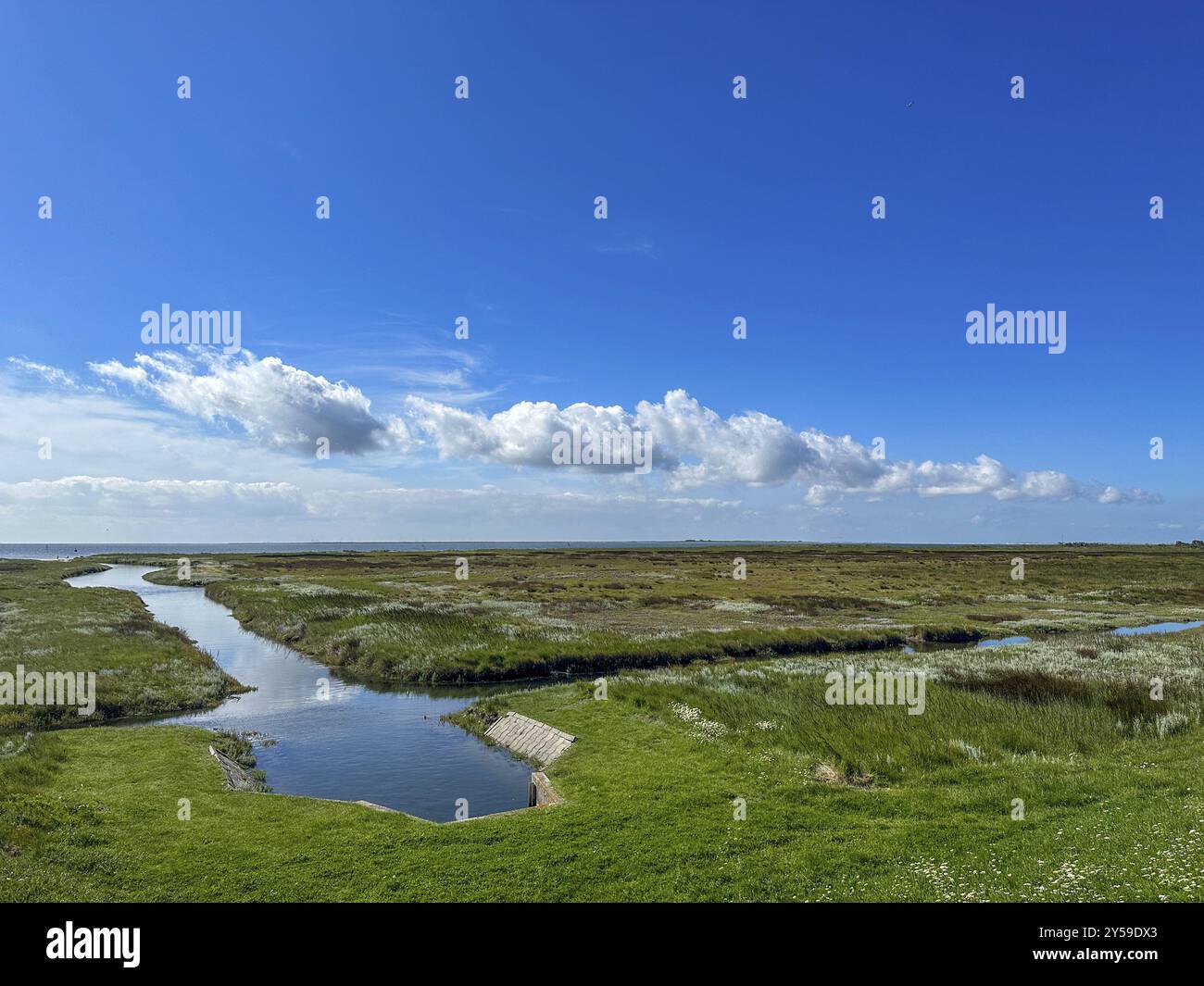 Saline su Juist, Isole Frisone Orientali, Germania, Europa Foto Stock