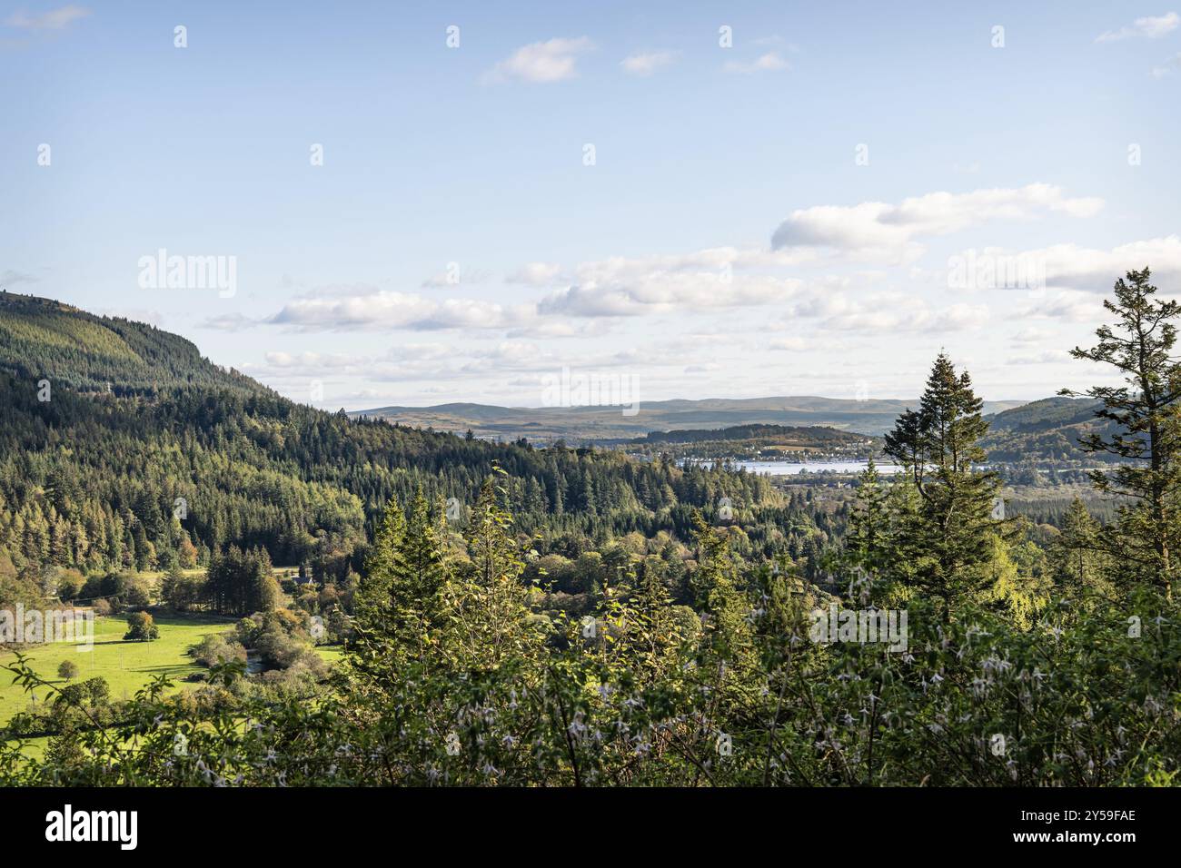Holy Loch di Benmore Botantic Gardens, Strath Eachaig, Scozia, Regno Unito, Europa Foto Stock