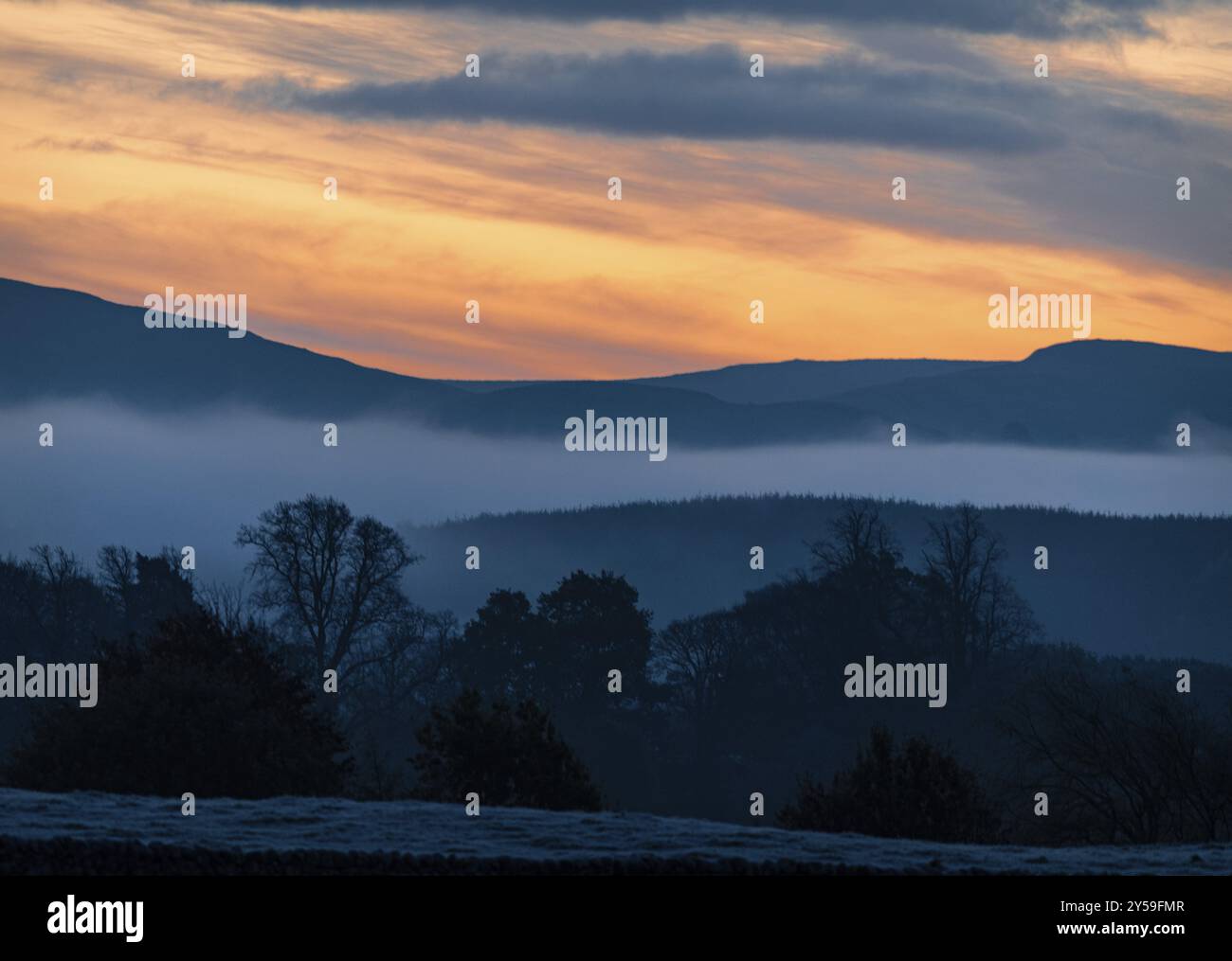 Nebbia mattutina sulle colline Foto Stock