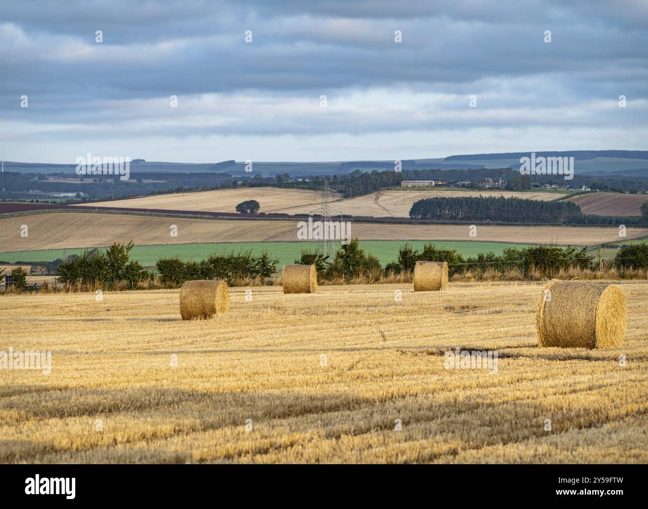 Terreni agricoli dopo il raccolto, confine scozzese, Scozia, Regno Unito, Europa Foto Stock