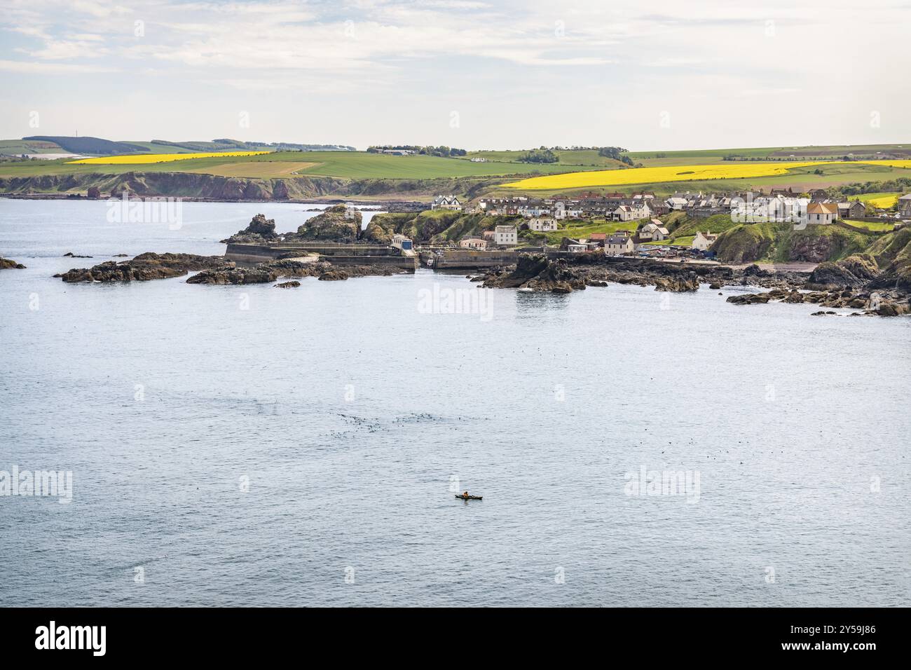 St Abbs, Scottish Borders, Scozia, Regno Unito, Europa Foto Stock