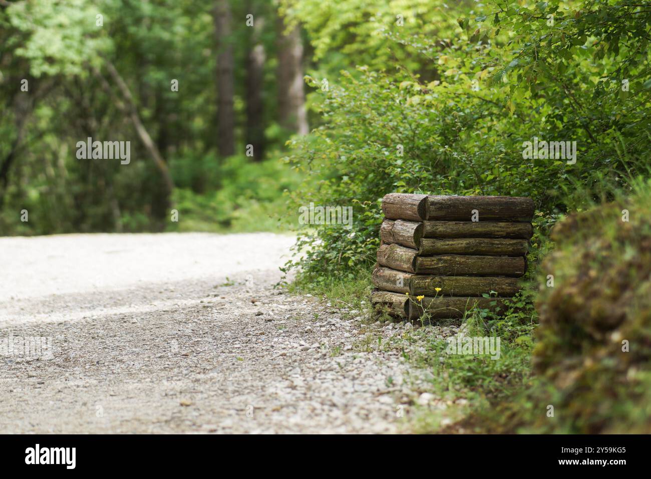 Cestino di legno in natura Foto Stock