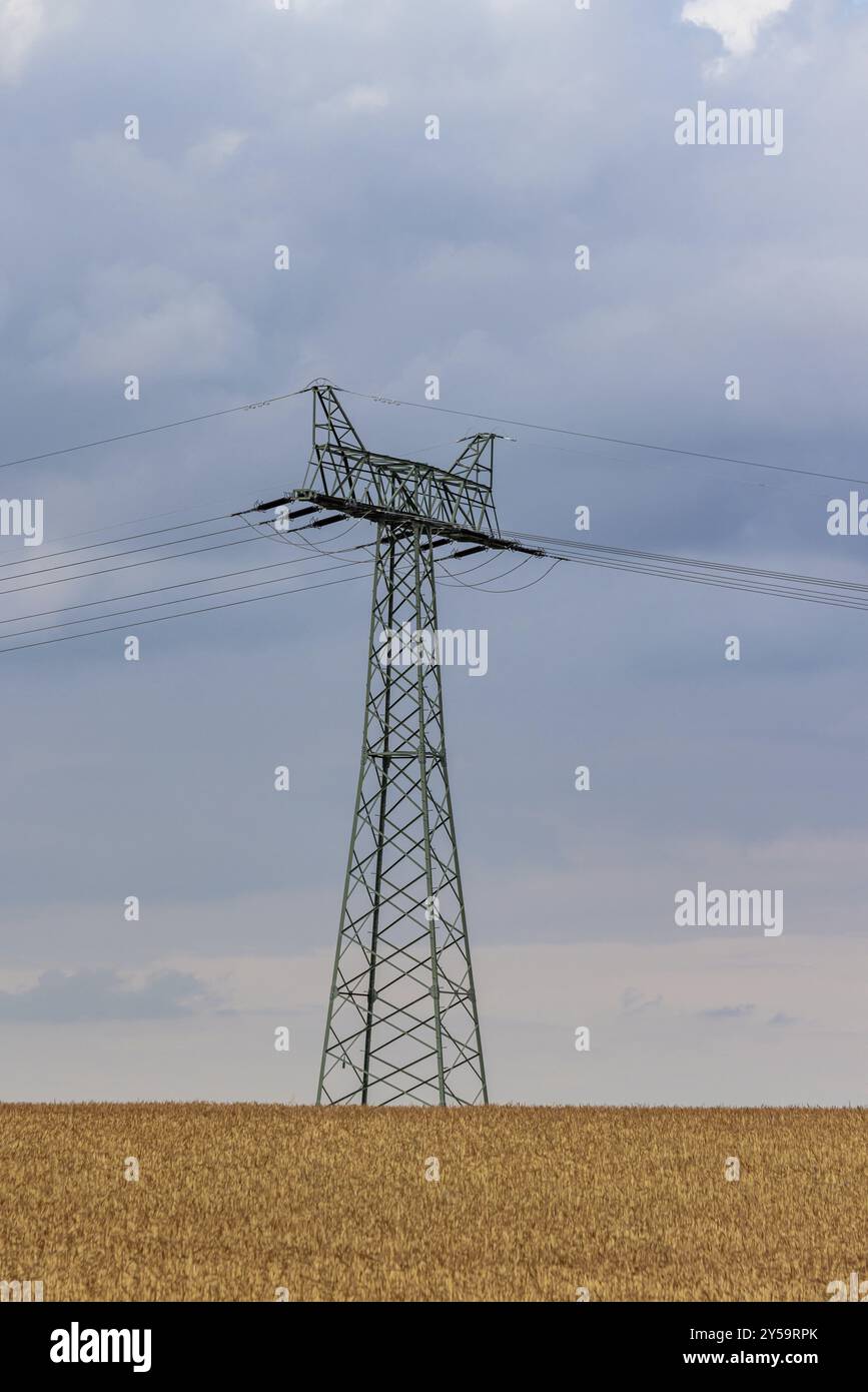 Linea aerea ad alta tensione Foto Stock