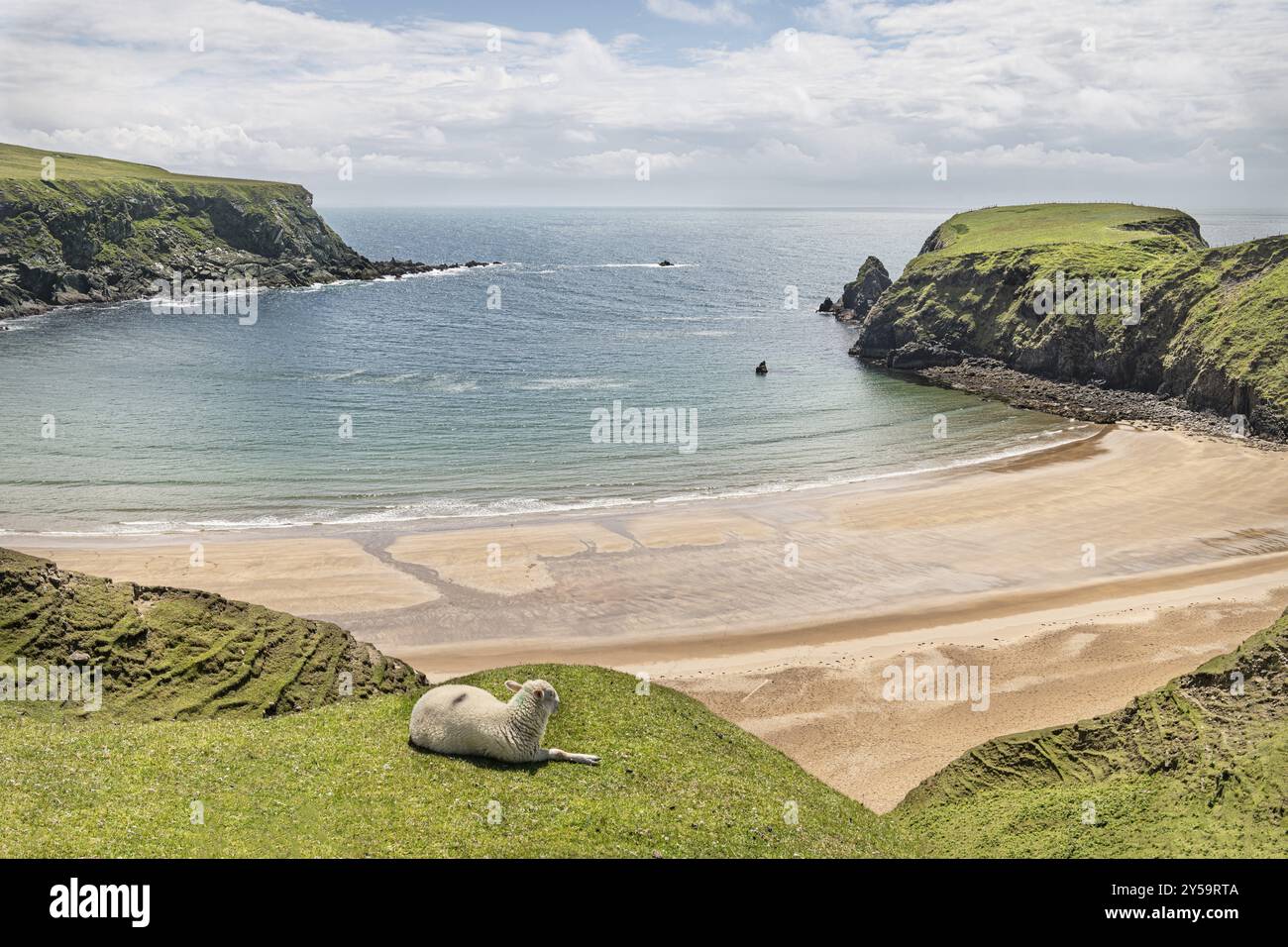 Una pecora sulle scogliere a Malin Beg Beach Foto Stock