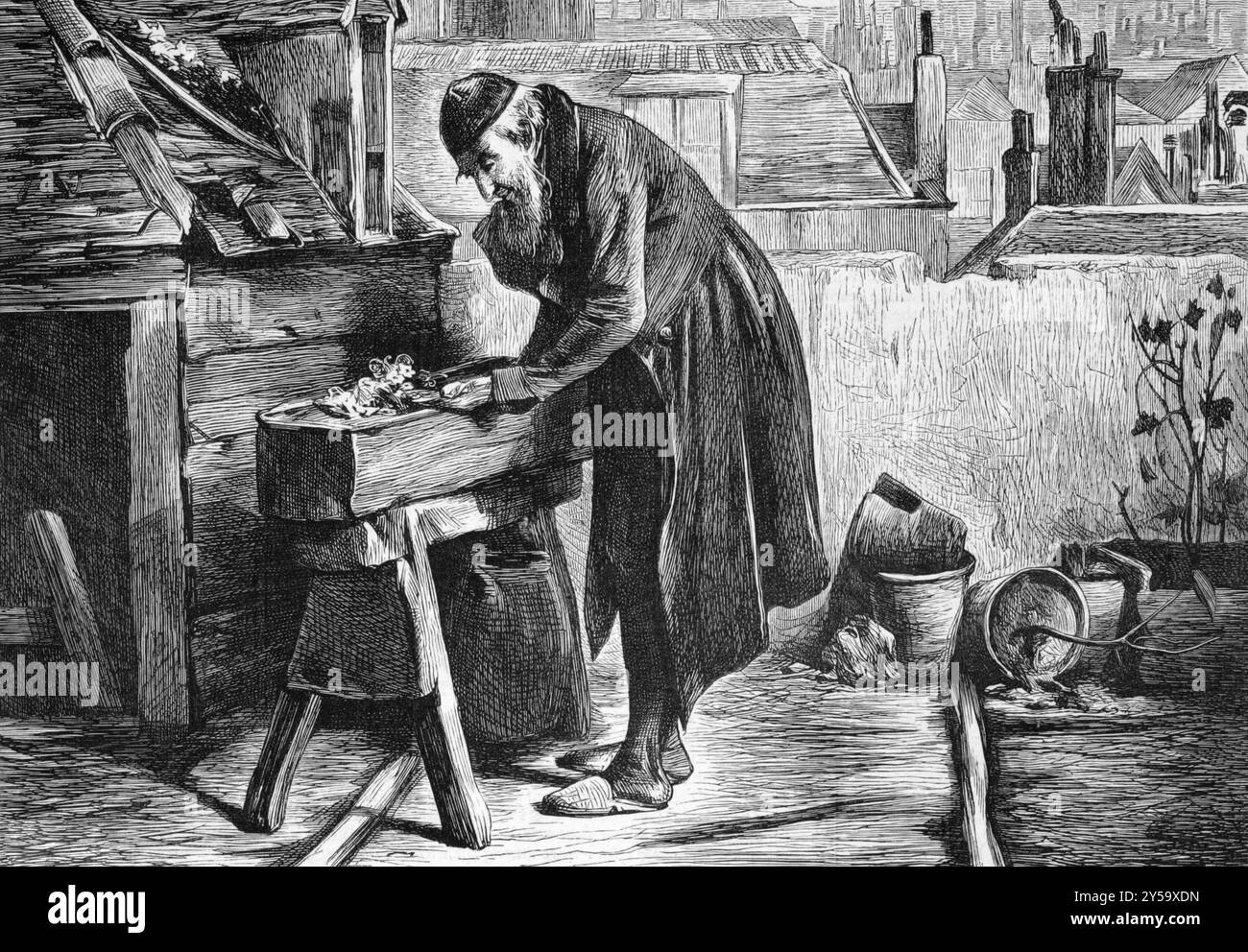 Un giardino londinese su incisione del 1870 di io Roberts ha pubblicato su The Graphic Foto Stock