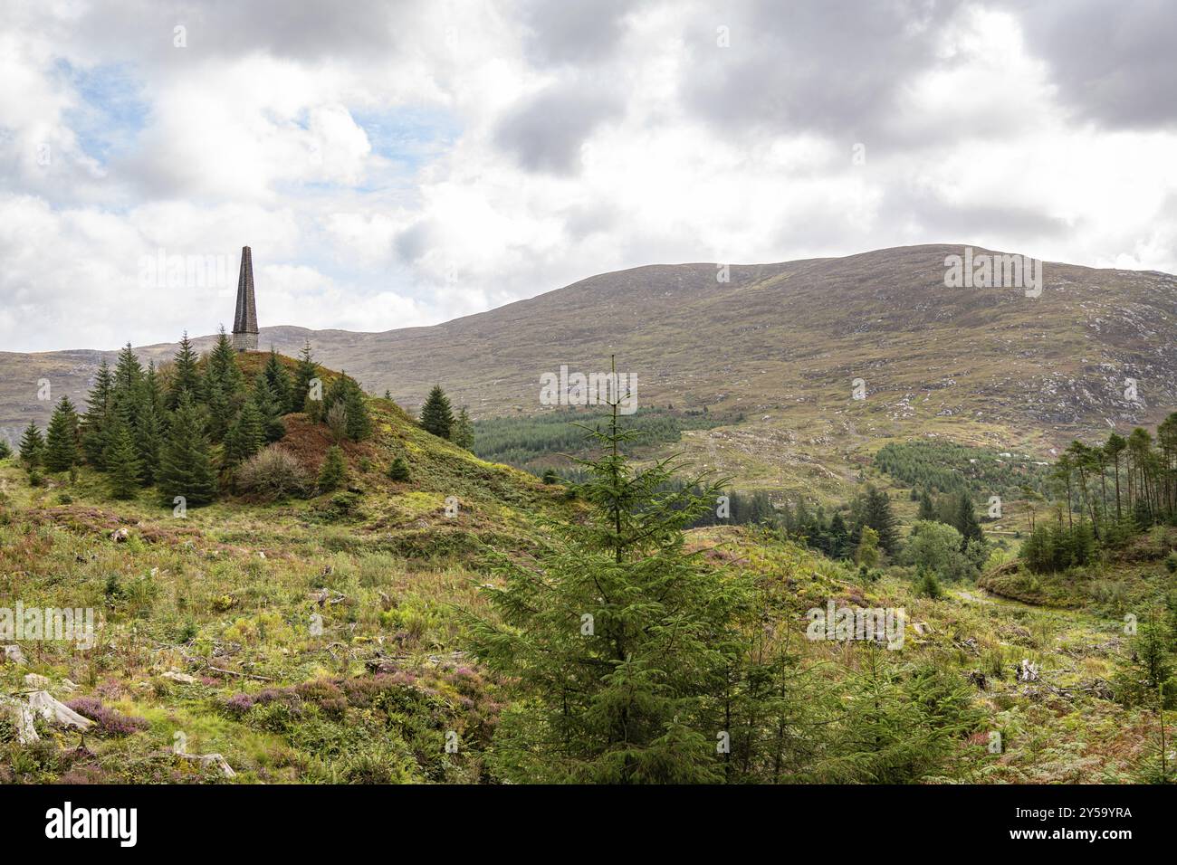 Alexander Murray Memorial Tower, Dumfries and Galloway, Scozia, Regno Unito, Europa Foto Stock