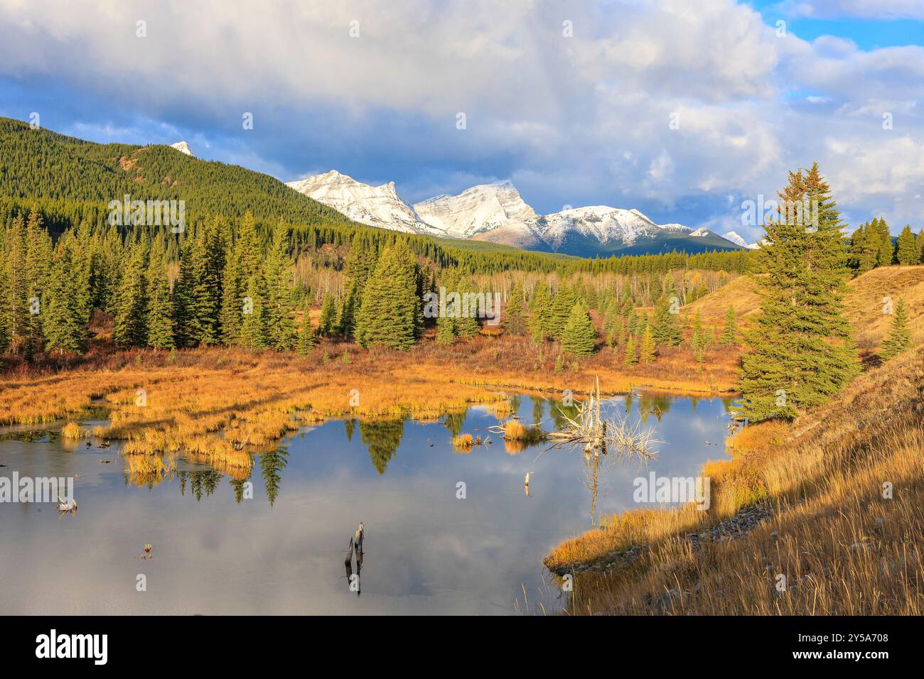 Uno stagno di castori nella valle del fiume Highwood, tra le montagne dell'Alberta meridionale Foto Stock