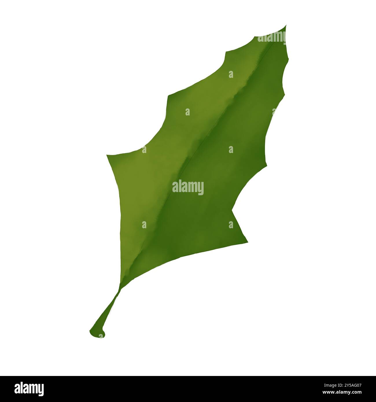 Illustrazione digitale ad acquerello holly per la pianta verde natalizia da utilizzare nella stampa: Cartoline, poster, coupon, sconti, imballaggi Foto Stock