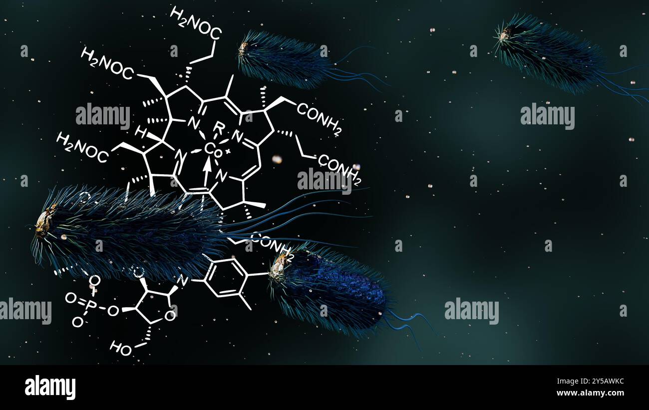 Il rendering 3d di E. coli è una delle fonti primarie di vitamina B12 nell'intestino umano. Foto Stock