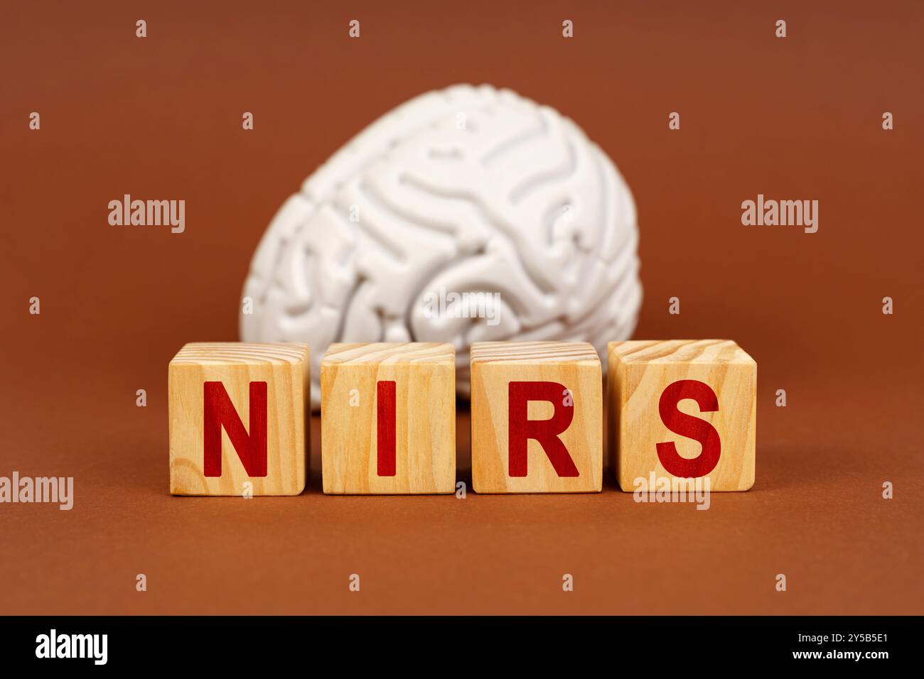 Un modello cerebrale si trova dietro blocchi di legno che scrivono NIRS, illustrando l'intersezione tra neuroscienze e tecniche spettroscopiche. Foto Stock