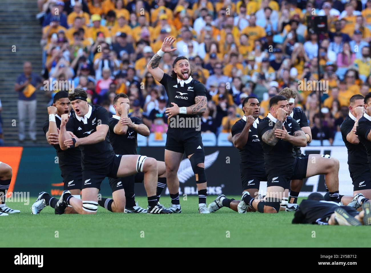 Sydney, Australia. 21 settembre 2024. Gli All Blacks eseguono la tradizionale Haka durante la partita del campionato di rugby tra Australia e nuova Zelanda all'Accor Stadium di Sydney, Australia, il 21 settembre 2024. Foto di Peter Dovgan. Solo per uso editoriale, licenza richiesta per uso commerciale. Non utilizzare in scommesse, giochi o pubblicazioni di singoli club/campionato/giocatori. Crediti: UK Sports Pics Ltd/Alamy Live News Foto Stock