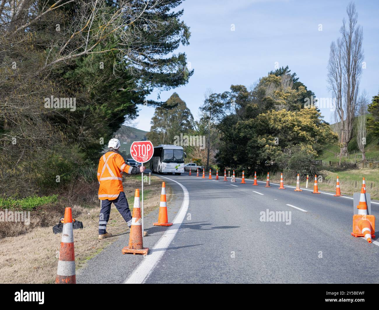 Hawke's Bay, nuova Zelanda - 23 agosto 2024: Controllore del traffico con un cartello di stop. Autobus che viaggiano dalla direzione opposta su una strada a corsia unica. Foto Stock