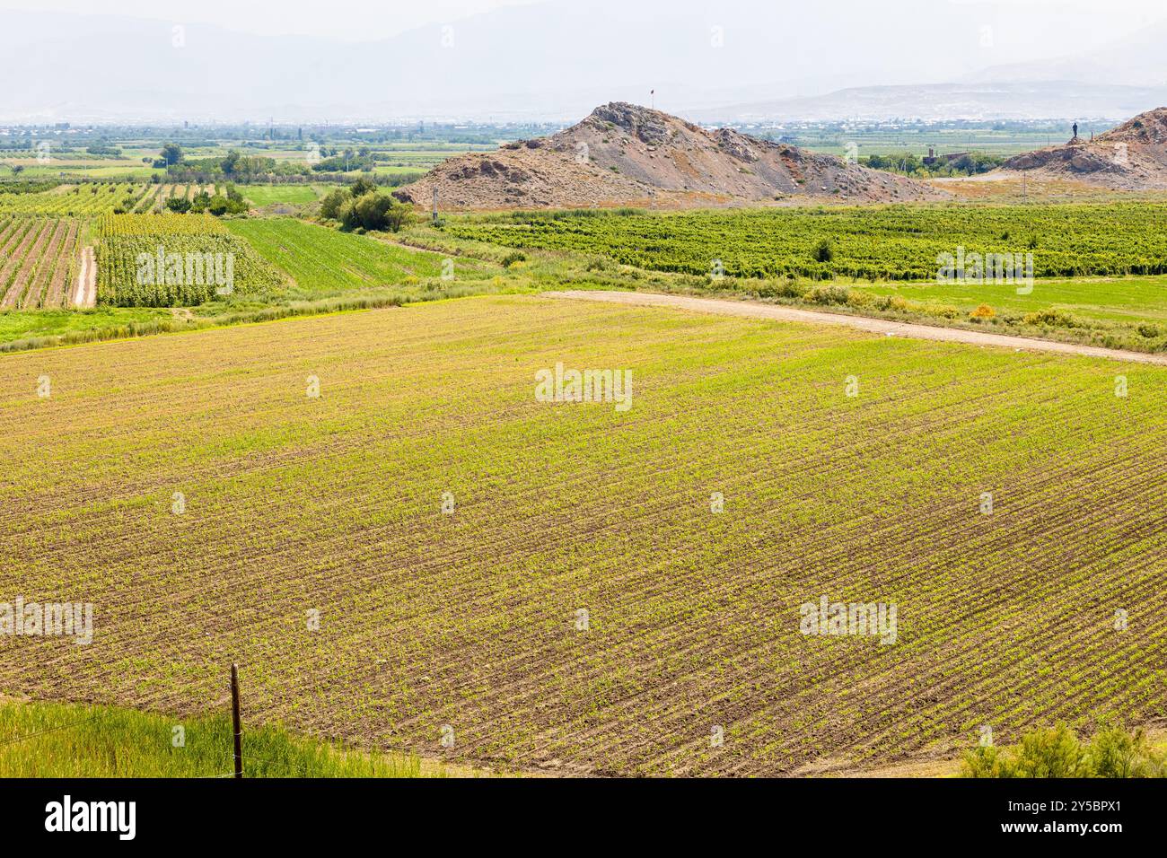 Vista dei campi agricoli della piana di Ararat nella provincia di Ararat, in Armenia, vicino al monastero di Khor Virap il giorno d'estate Foto Stock