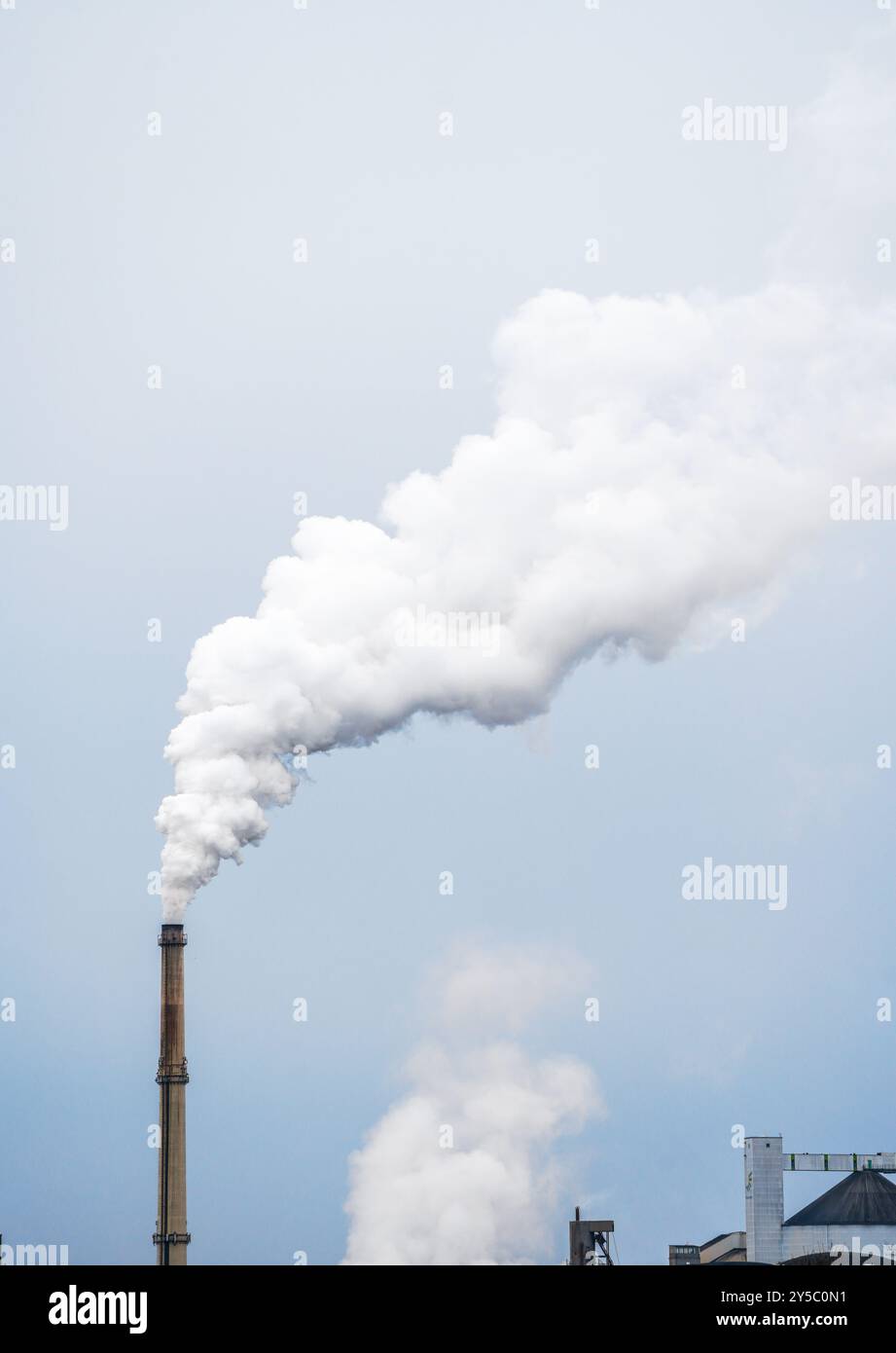 Nuvola di fumo da una fabbrica. Fumare camino nella zona industriale. Ambiente e inquinamento. Clima, riscaldamento globale. Foto Stock