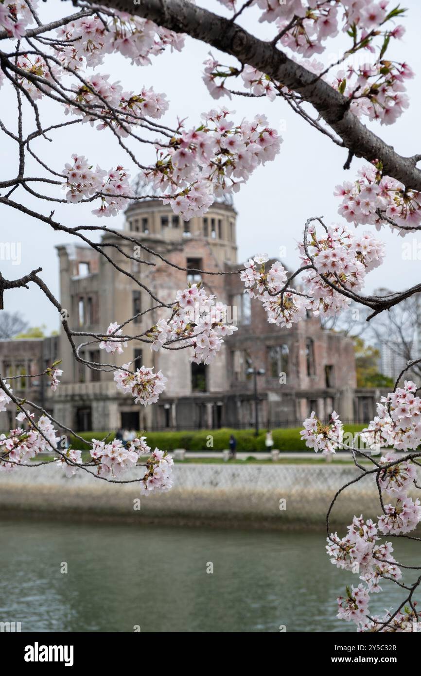 Hiroshima Peace Memorial, Atomic Bomb o Genbaku Dome, Giappone. Vista delle rovine dell'edificio attraverso i fiori di ciliegio Foto Stock