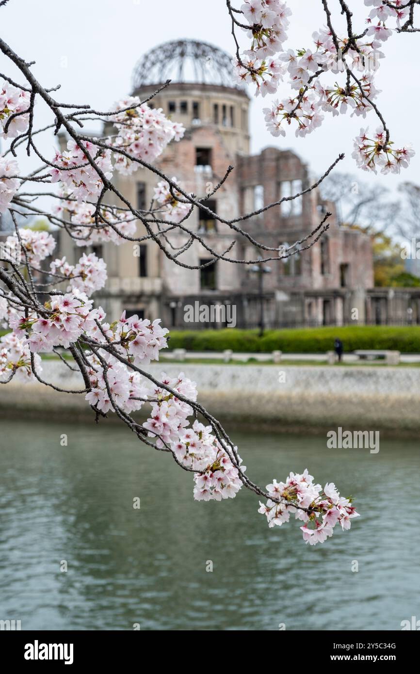 Hiroshima Peace Memorial, Atomic Bomb o Genbaku Dome, Giappone. Vista delle rovine dell'edificio attraverso i fiori di ciliegio Foto Stock