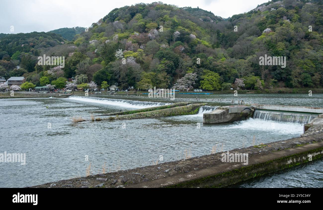 Fiume Uji, Kyoto. Paesaggio nella stagione primaverile, Giappone. Ciliegi in fiore sulla riva del fiume, Foto Stock