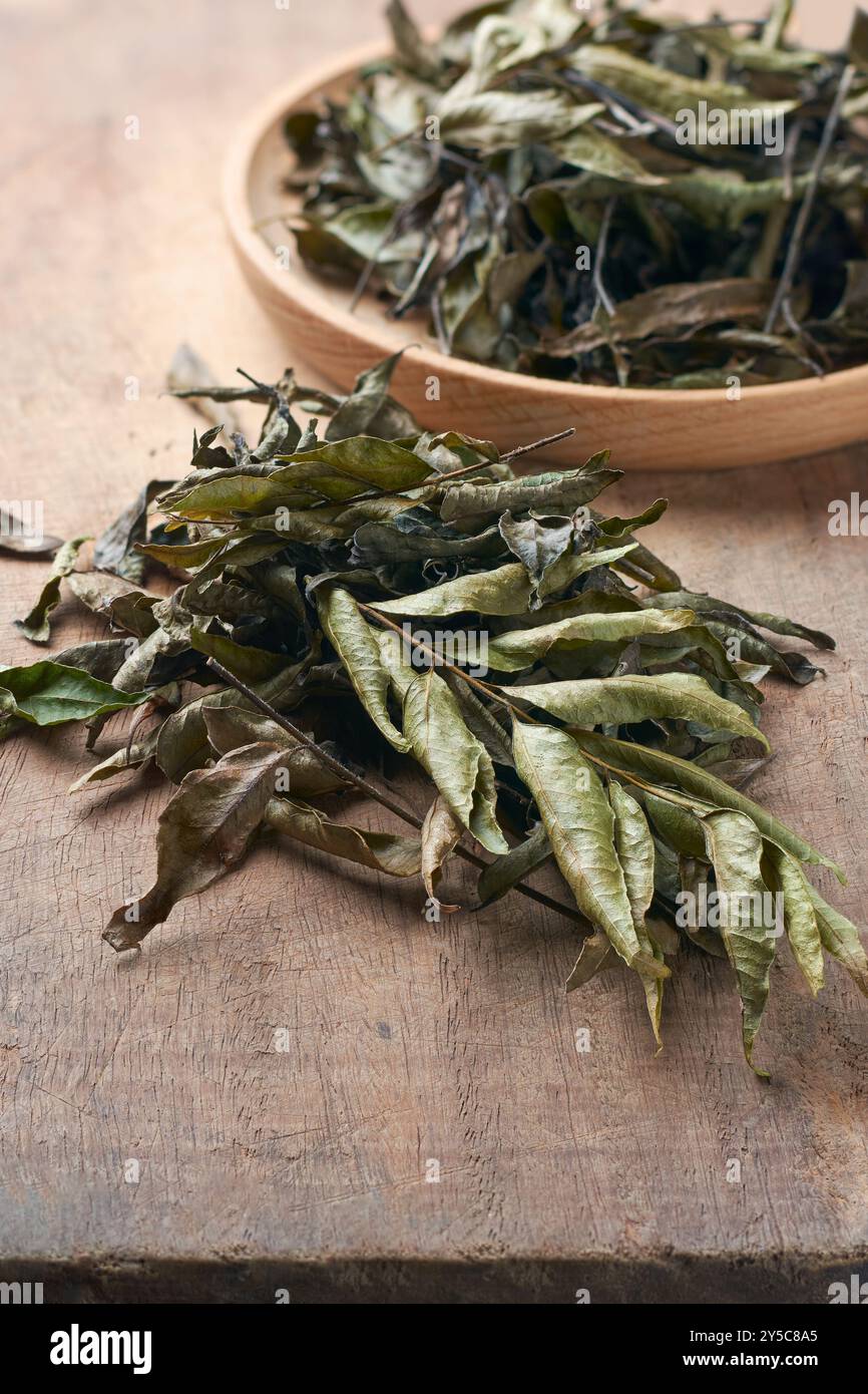 primo piano di foglie di curry fresche essiccate all'aria sul piano della cucina per conservare e conservare per un uso prolungato, erbe aromatiche e aromatiche utilizzate nei curry e. Foto Stock
