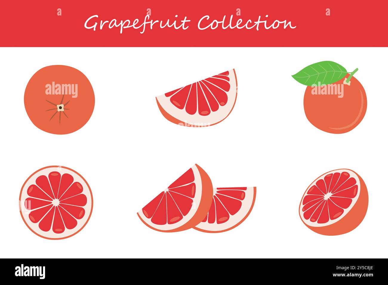 raccolta di pompelmo in diverse pose. Illustrazione vettoriale. Illustrazione Vettoriale