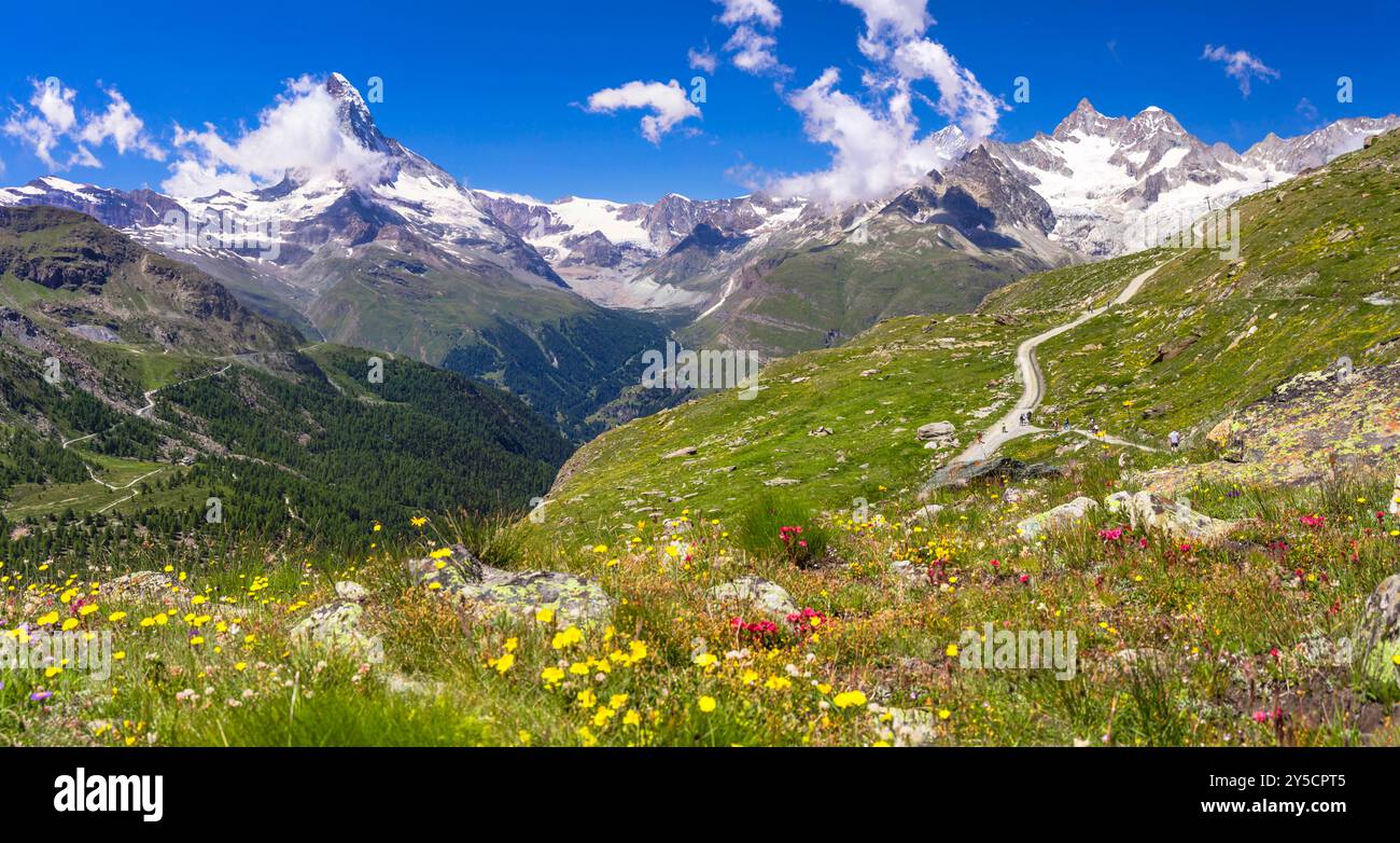 Famosi itinerari escursionistici in Svizzera , Canton Vallese - cinque laghi di montagna più belli di Zermatt. Vista panoramica del prato floreale e dell'icona del Cervino Foto Stock