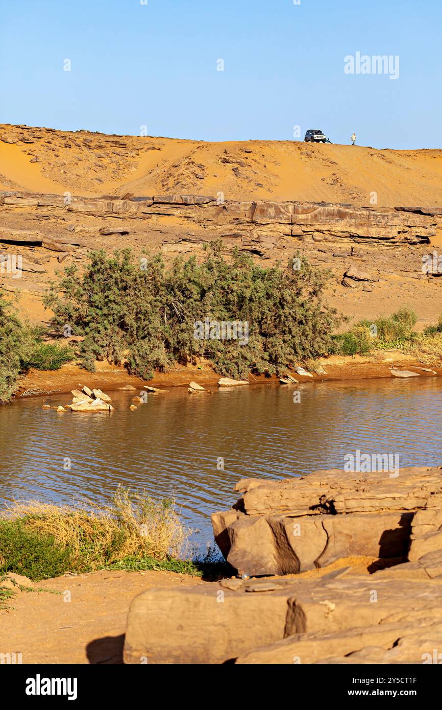 Acqua e oasi nel deserto del Sahara Foto Stock