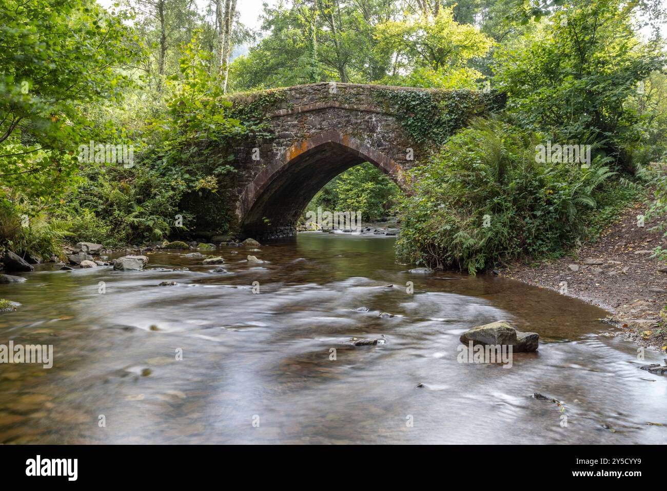Packhorse Bridge, Horner, Somerset, Regno Unito Foto Stock
