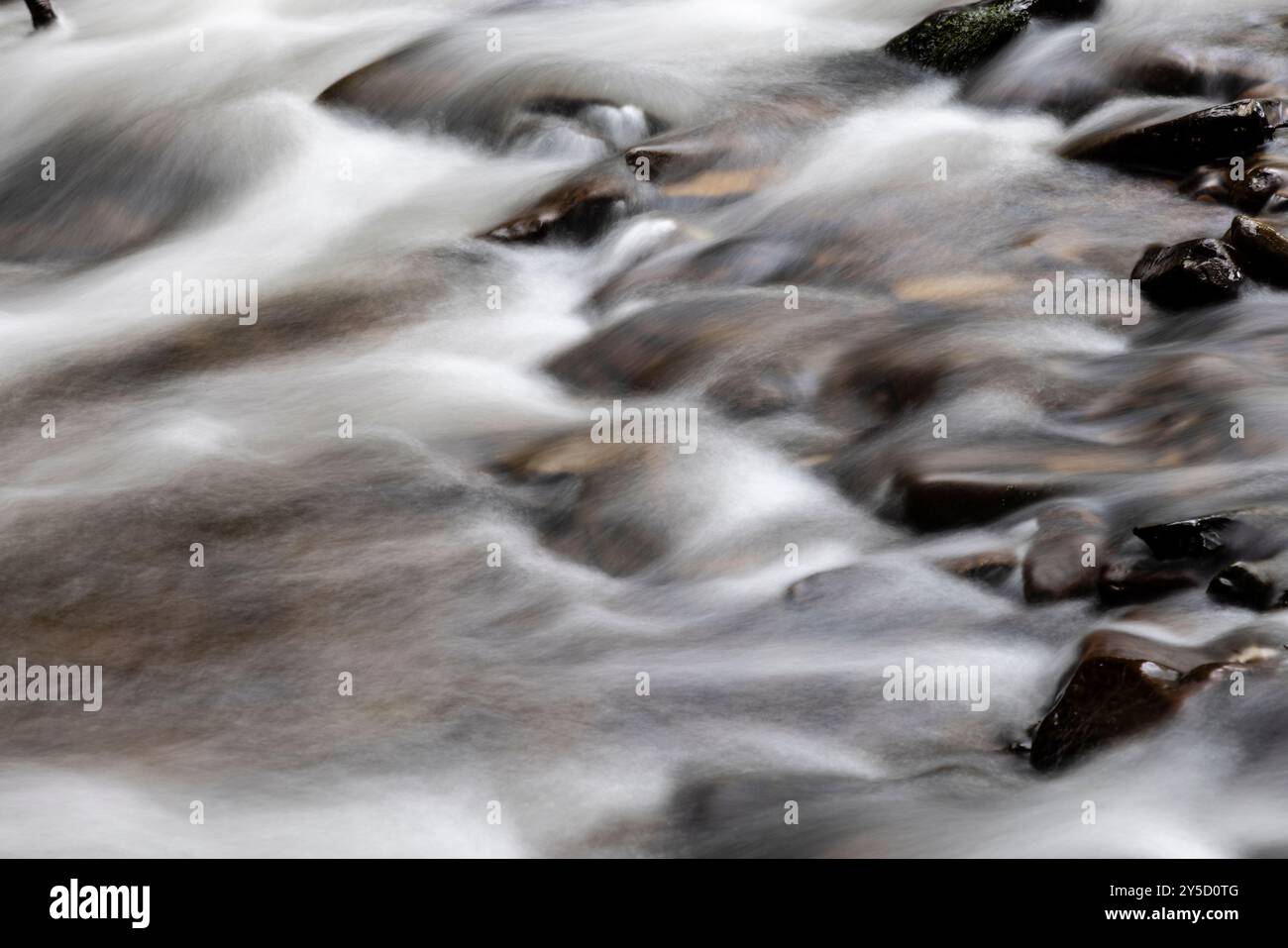 Acqua corrente, Horner Wood, Somerset, Regno Unito Foto Stock