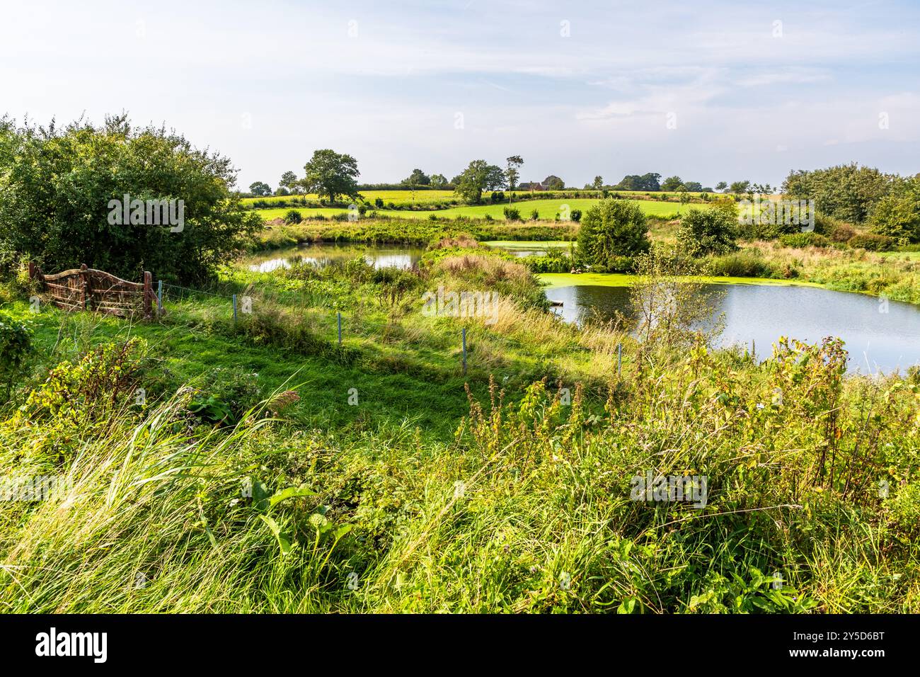 Paesaggio dello stagno nel nord della Germania. Schulstraße, Kappeln-Land, Schleswig-Holstein, Germania Foto Stock