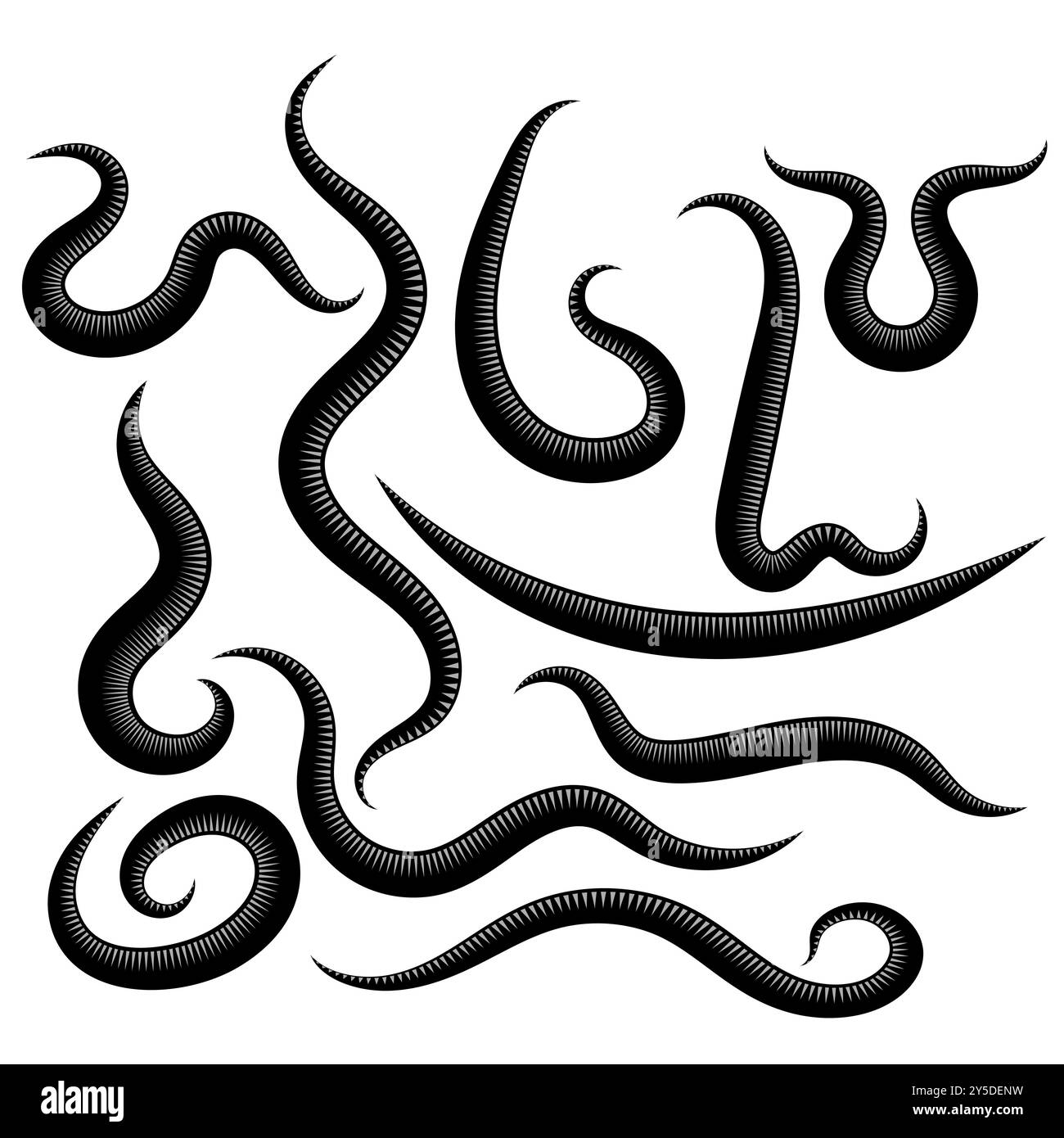Ascaride, helminth, Pinworm, threadworm. Set di parassiti isolati su sfondo bianco. Foto Stock