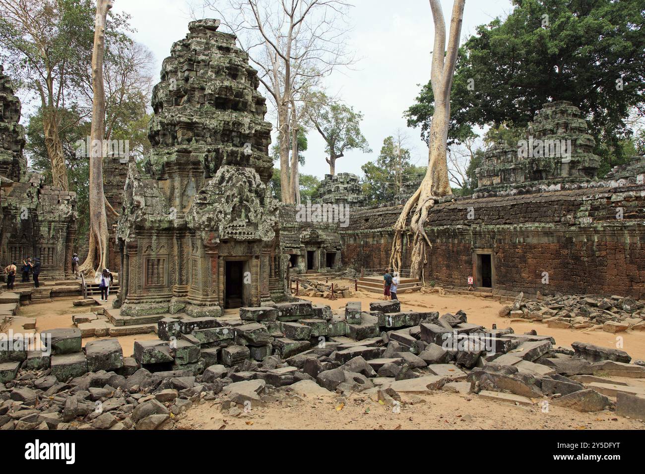 Il tempio di Ta Prohm in Cambogia, ricoperto di radici aggrovigliate Foto Stock
