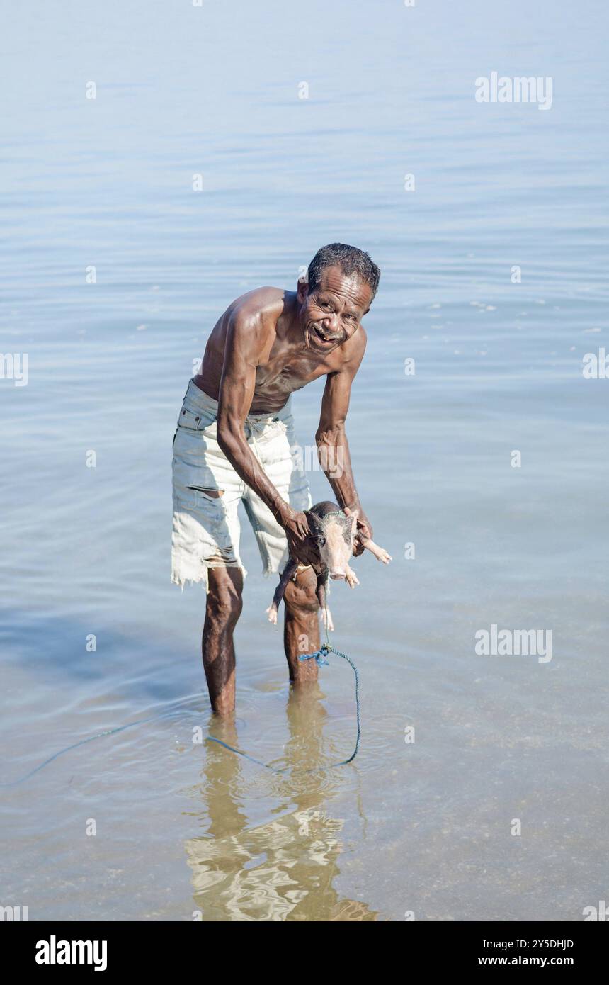 Vecchio che lava maiale nel mare a timor est Foto Stock