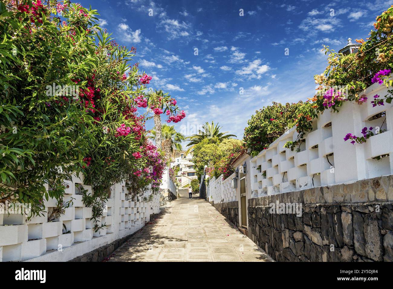 Strada di vicoli fioriti nella zona residenziale di los gigantes tenerife, spagna Foto Stock