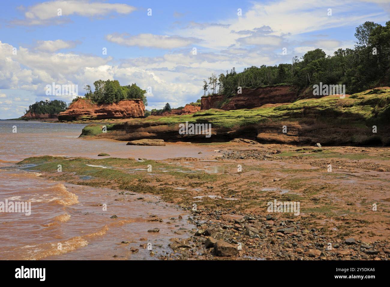 Burntcoat Head Park in Nova Scotia Place con la più alta catena di maree del mondo Foto Stock