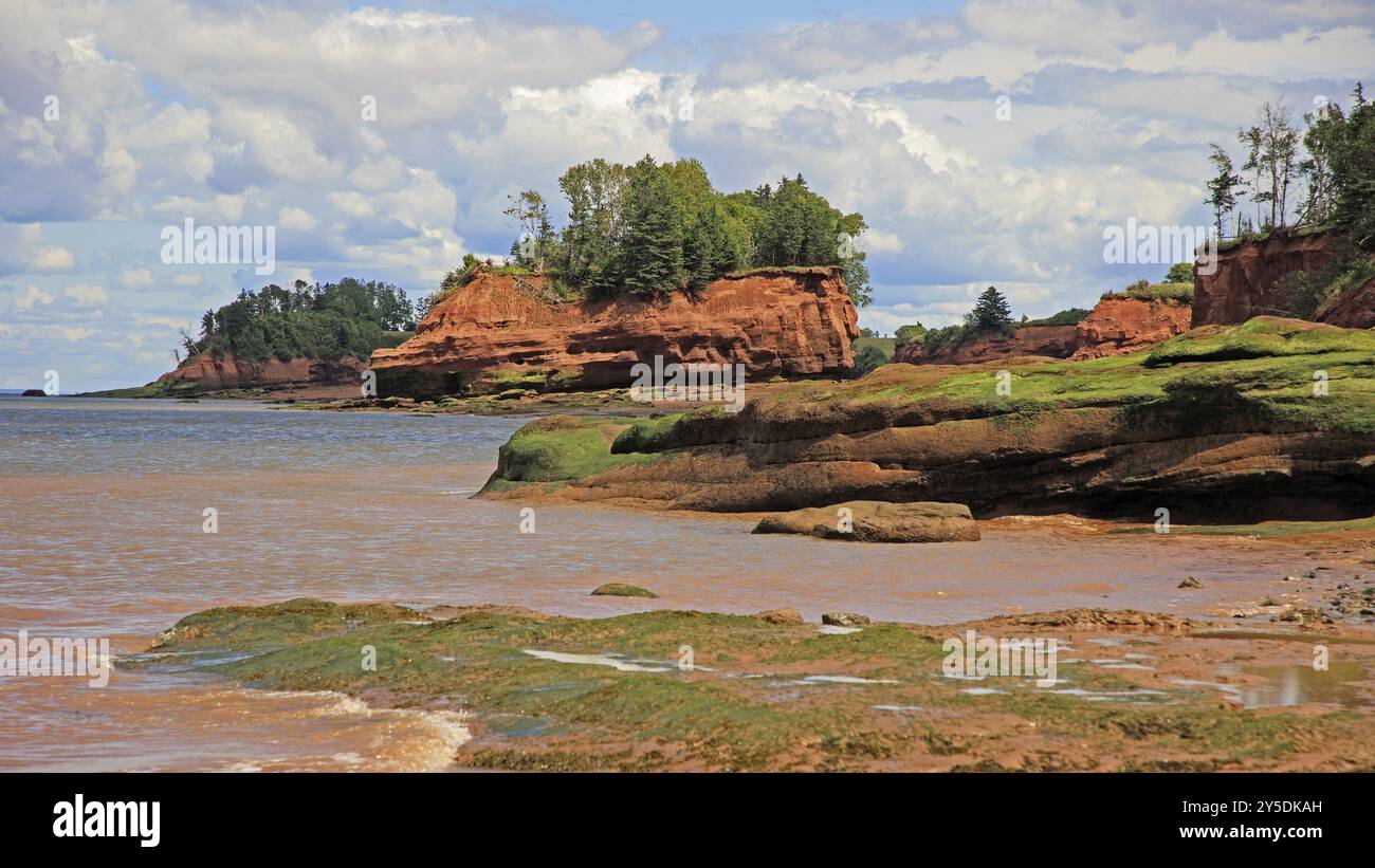 Burntcoat Head Park in Nova Scotia Place con la più alta catena di maree del mondo Foto Stock